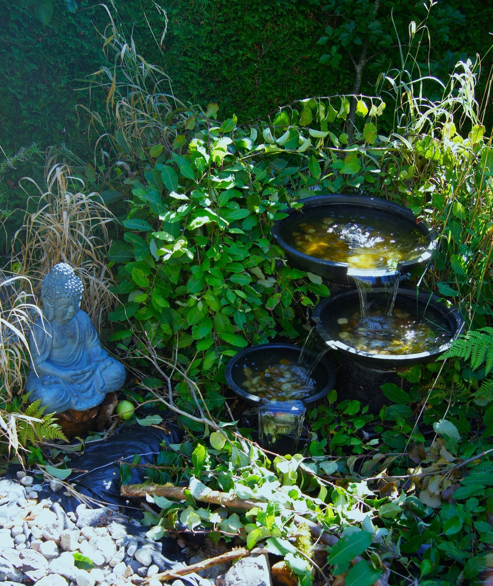 Fontenen i Japansk hage. Galleribilde