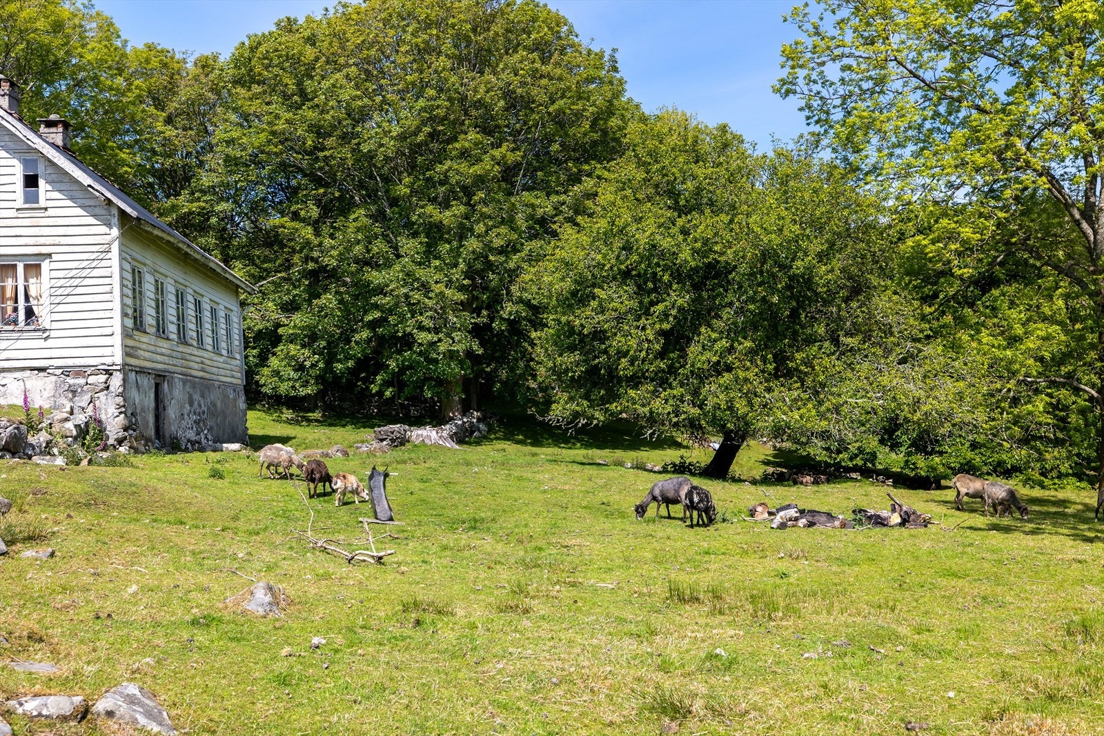 Bildet er fra naboeiendommen der det beiter sauer, bygningen på dette bildet er ikke med i salget. Galleribilde