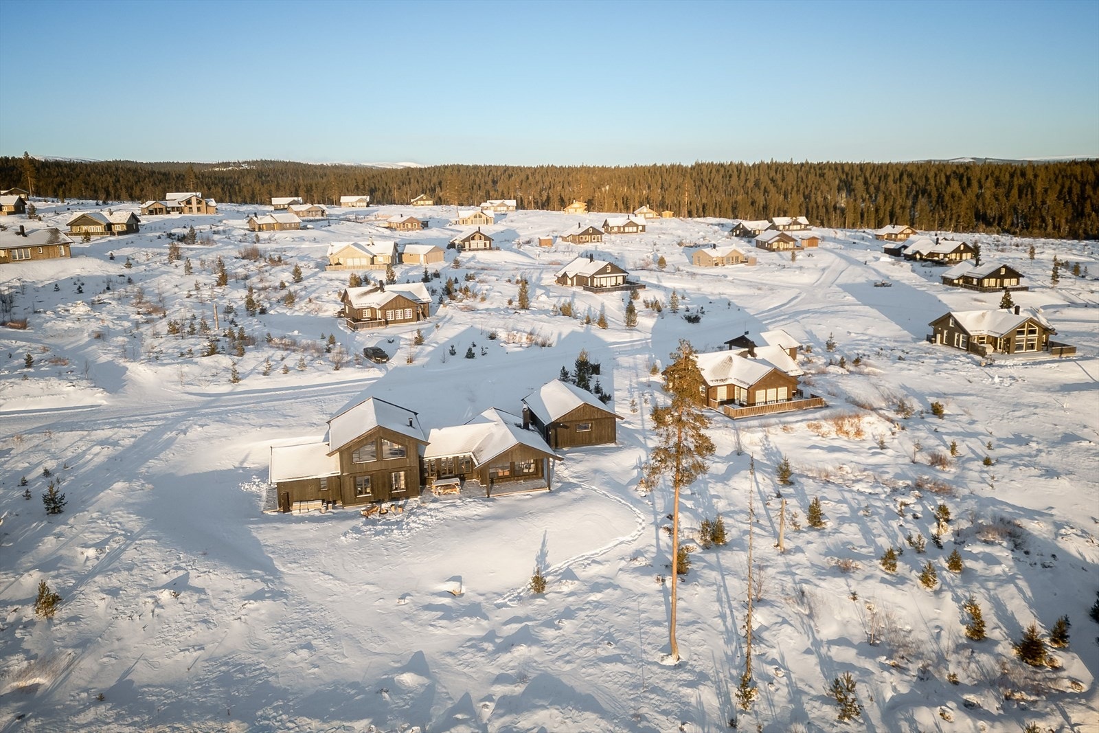 Diskgolf er et av de nyere tilbudene på Furutangen og har på kort tid rukket å bli svært populært. I flere etapper har ildsjeler godt støttet fra Furutangen Hyttevelforening etablert Furutangen Diskgolfpark. Galleribilde