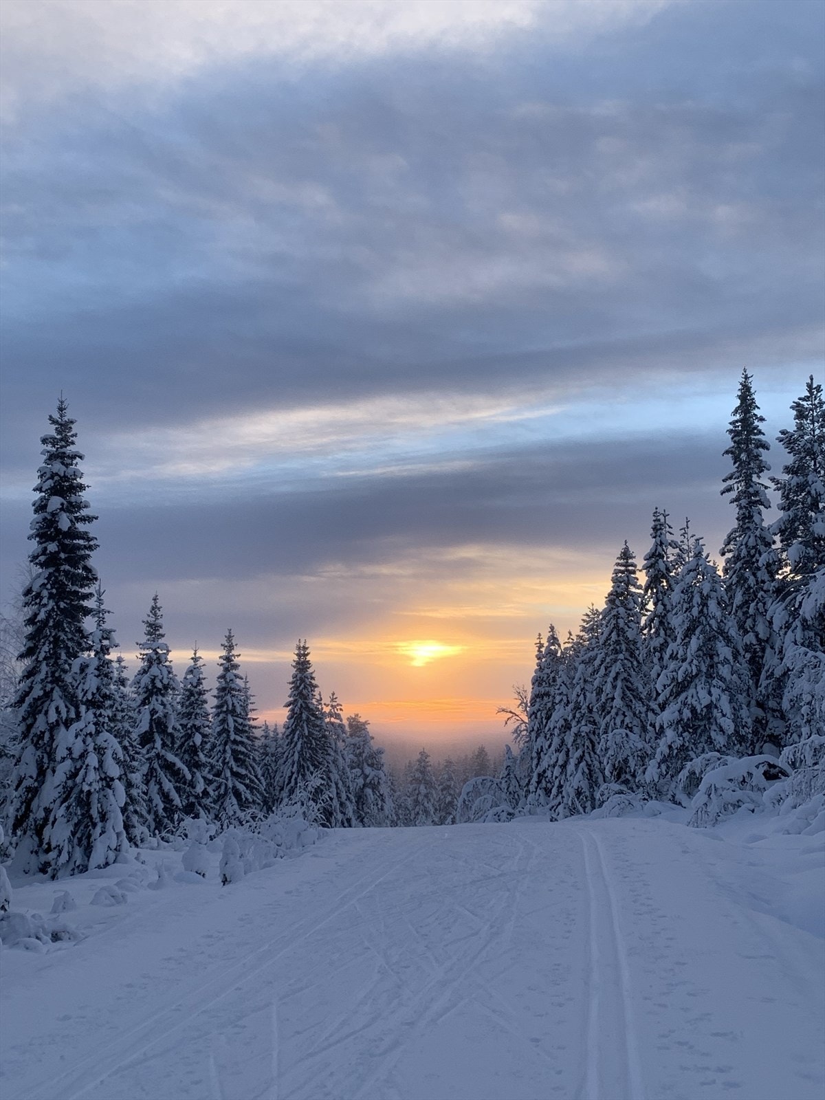 Selgers private bilde av skiløype. Galleribilde