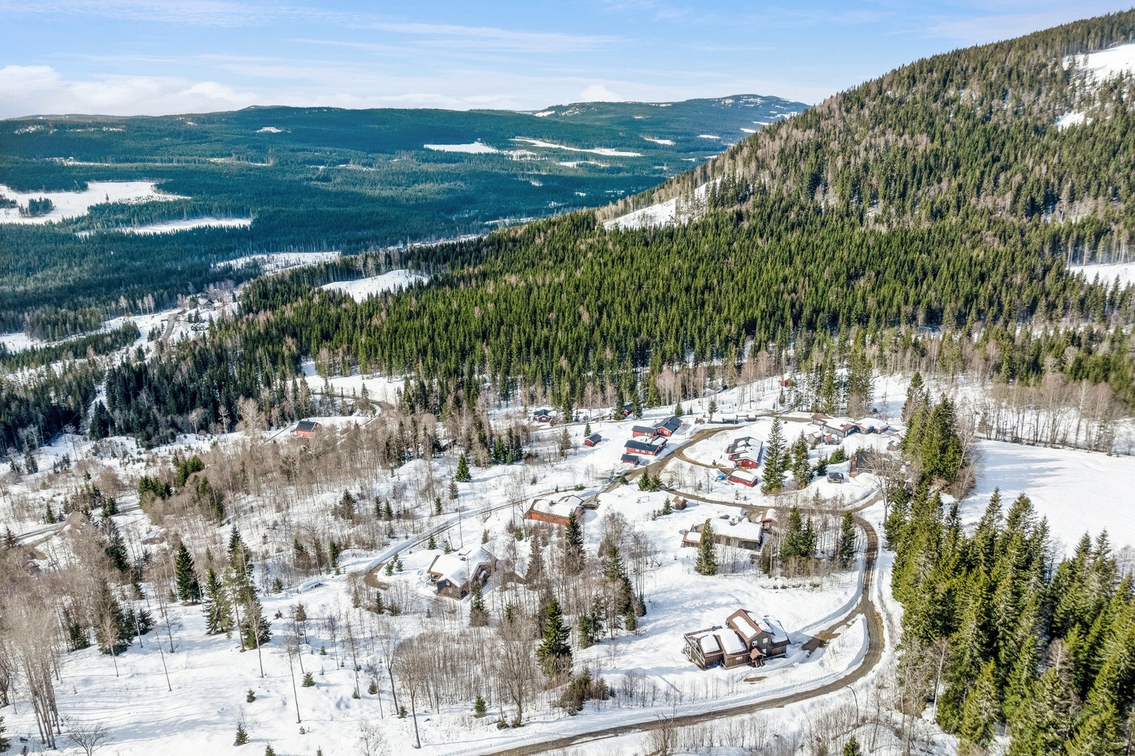 Her er det svært gode rekreasjonsmuligheter og kort vei til både servicetilbud, bade- og fiskevann, Hurdalssjøen, alpinanlegg og milevis med ski- og turløyper. Galleribilde