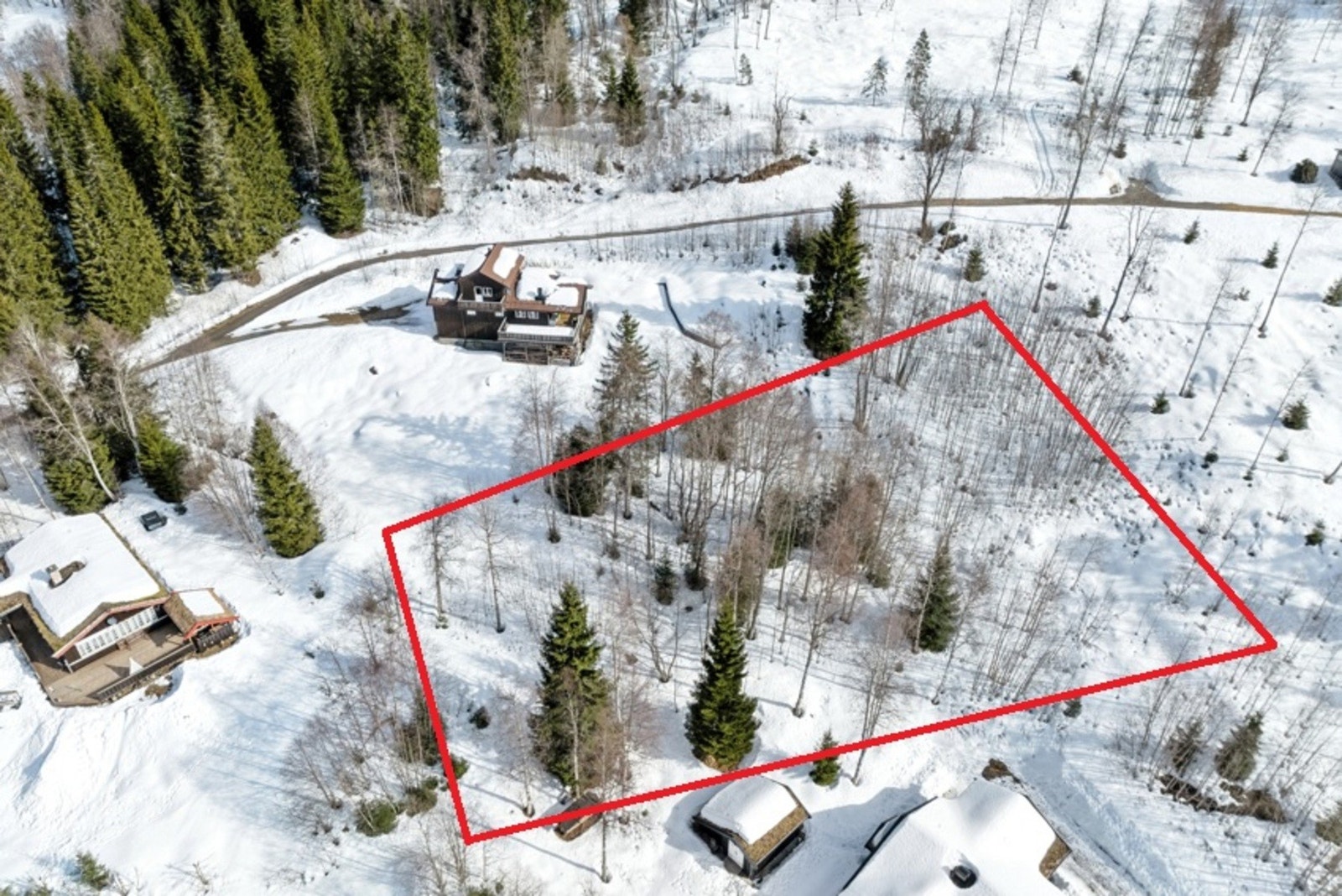 Ubebygd eiendom regulert til fritidsbebyggelse under reguleringsplan for Simarud hyttefelt. Galleribilde