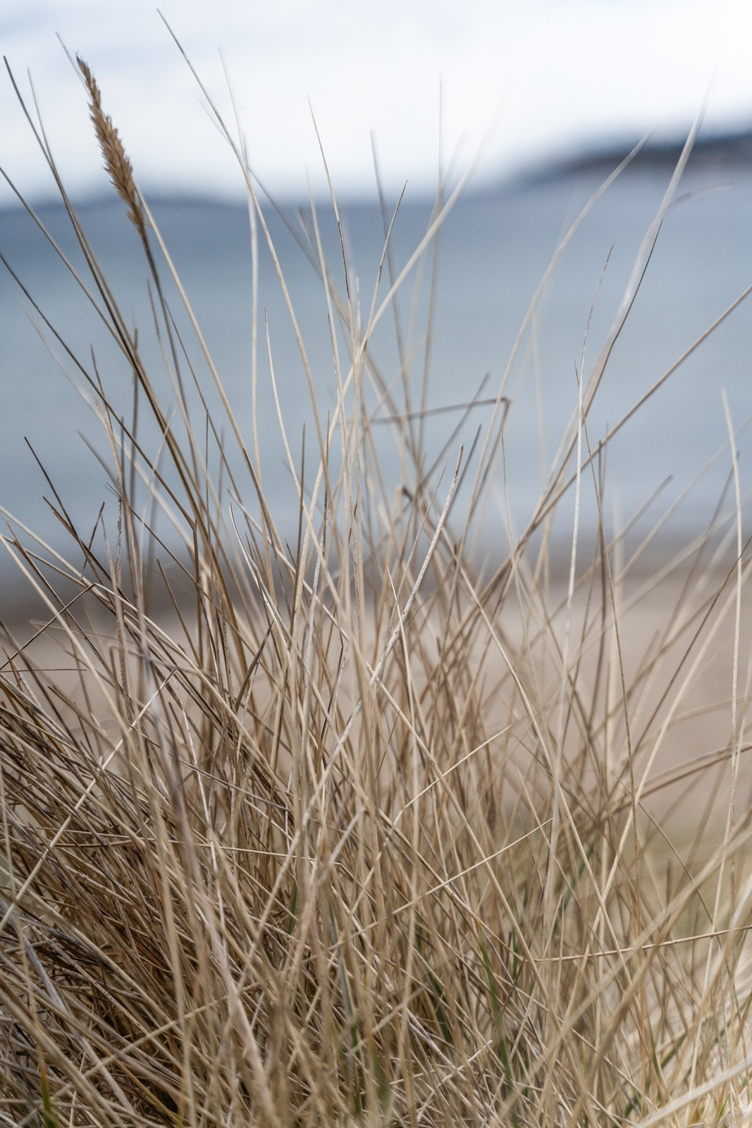 Njervesanden Galleribilde