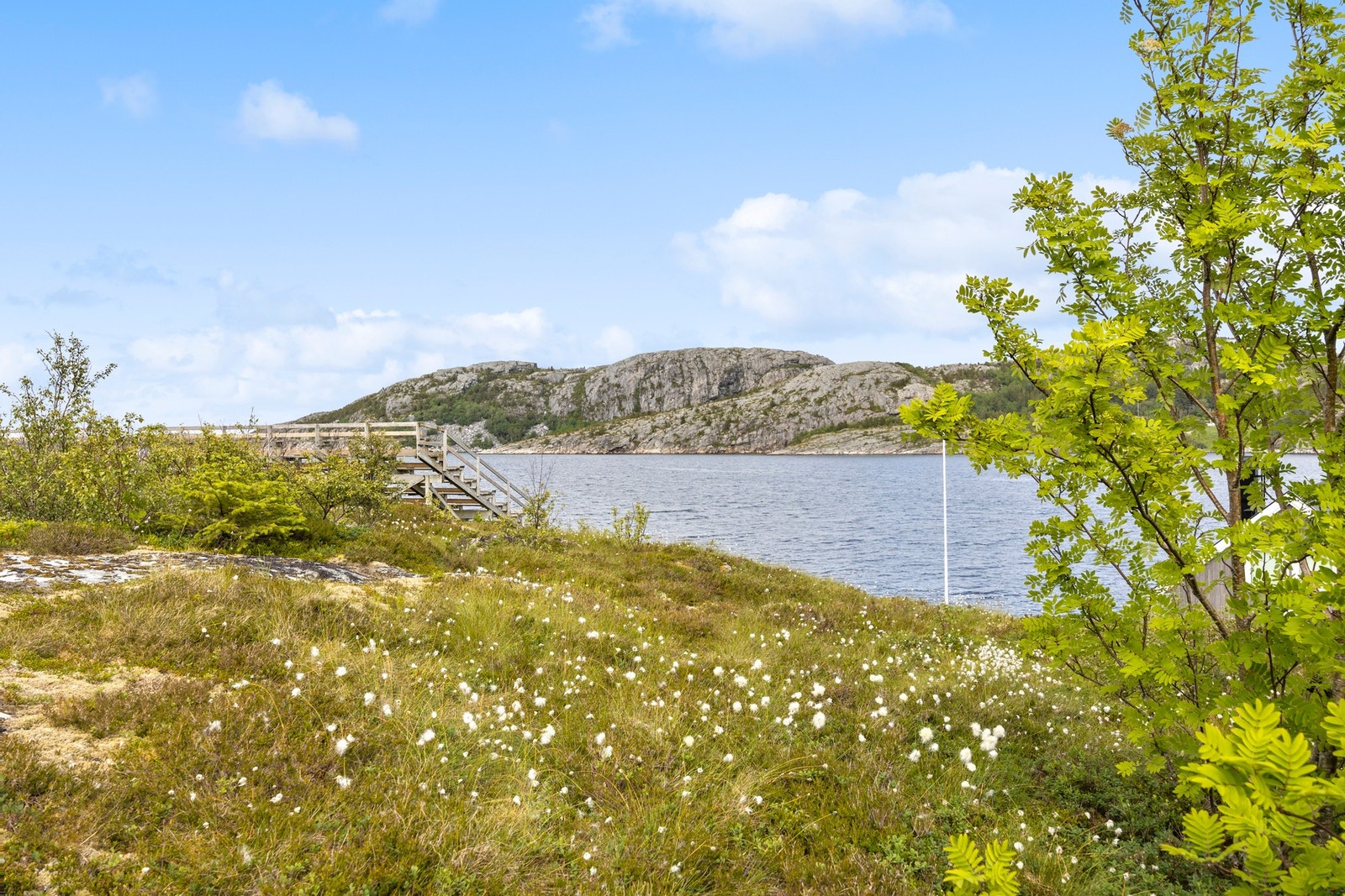 Uteområde Galleribilde