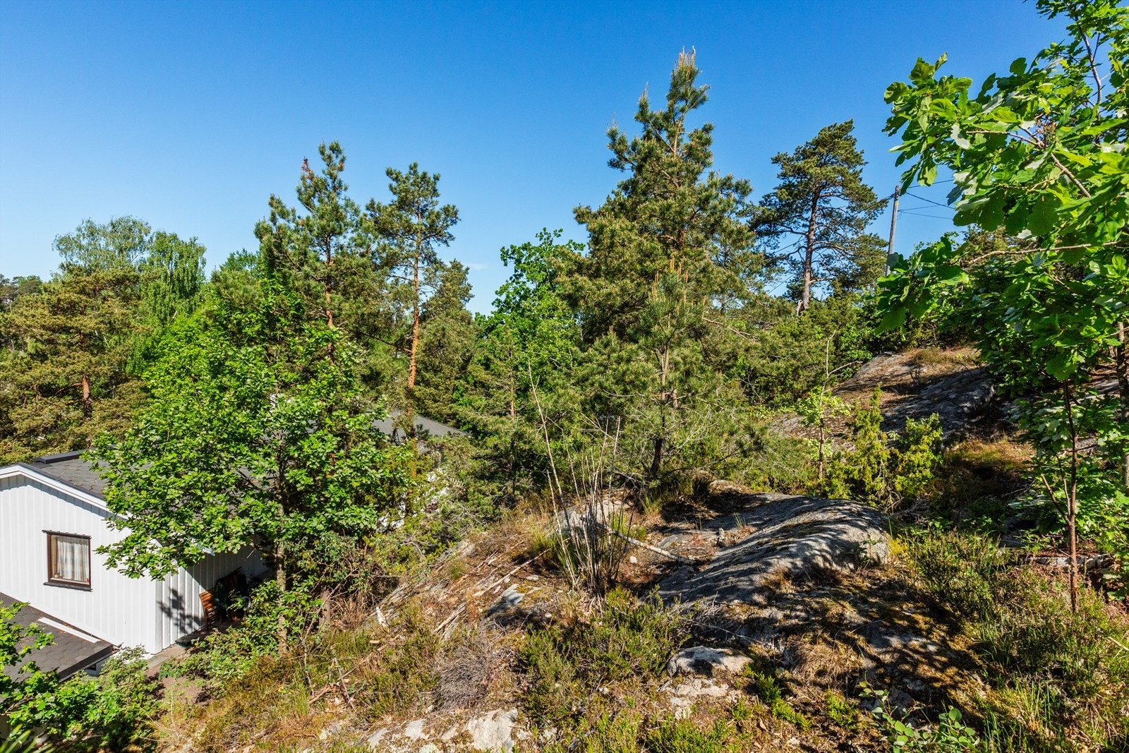 Bør sees! Galleribilde