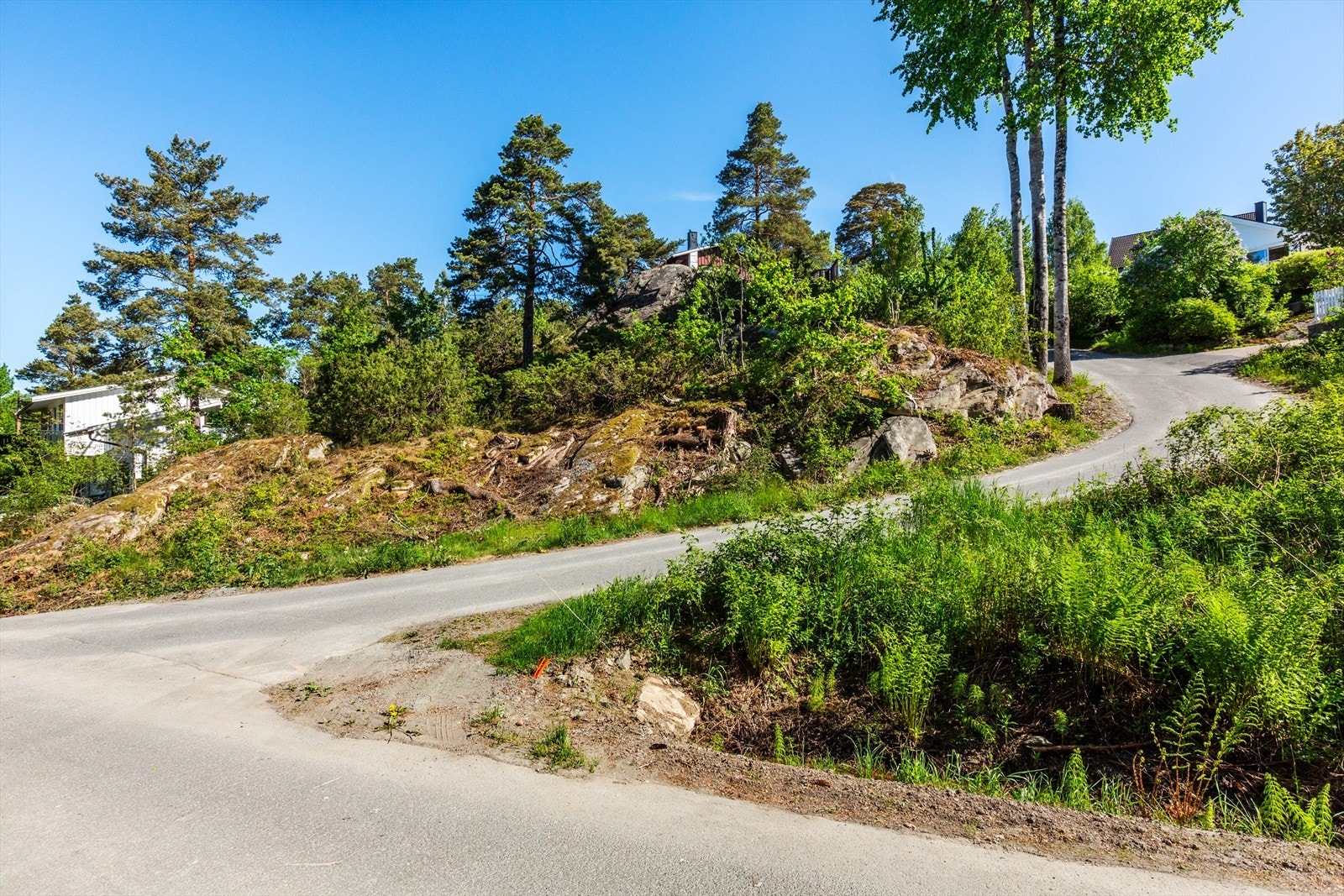 Stor og romslig Galleribilde