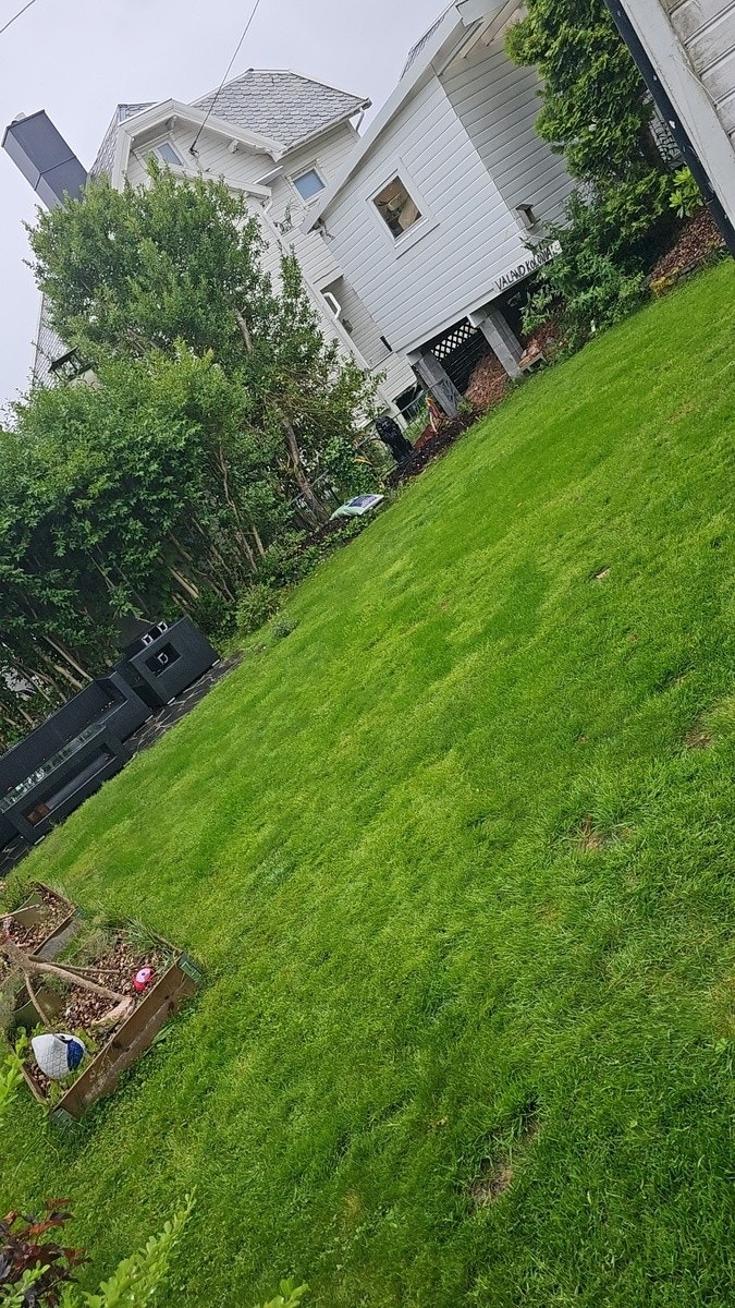 Hage med møbler Galleribilde