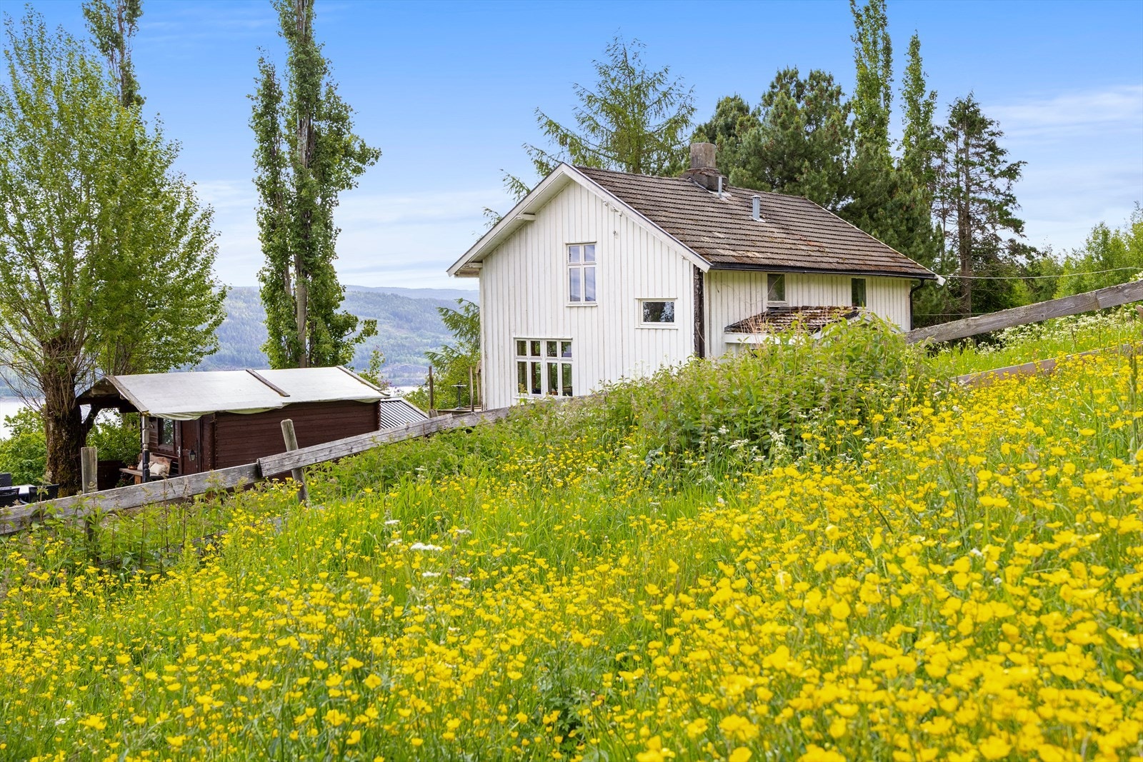 Her får du en romslig tomt med stort potensiale. Galleribilde