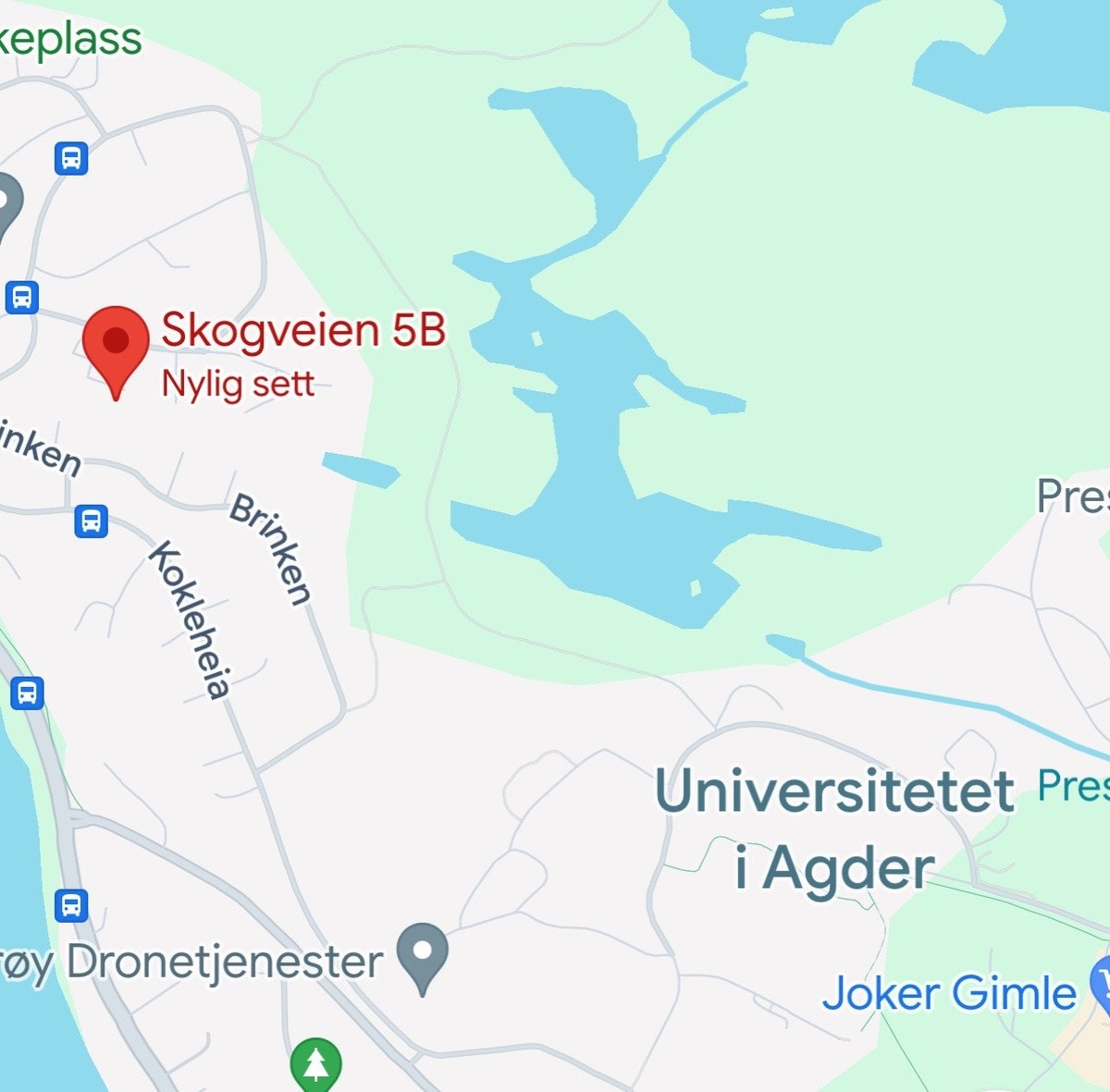Kort gåavstand til UiA Galleribilde