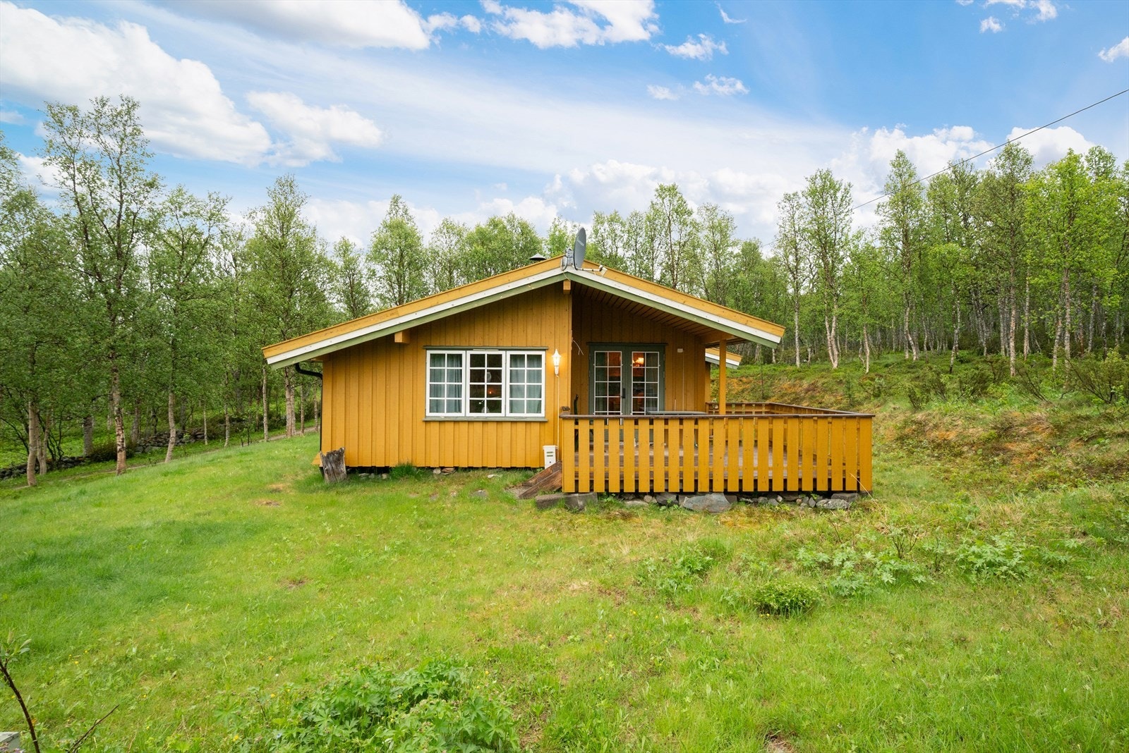 Fasade. Galleribilde