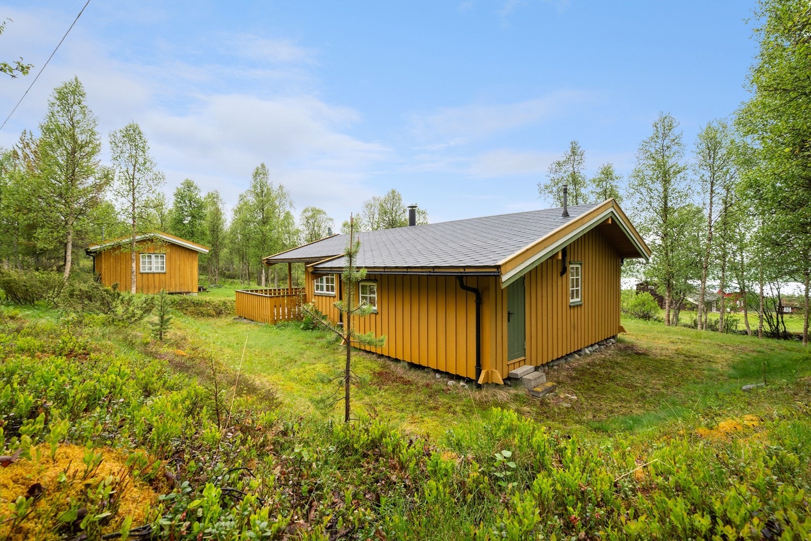 Fasade. Galleribilde