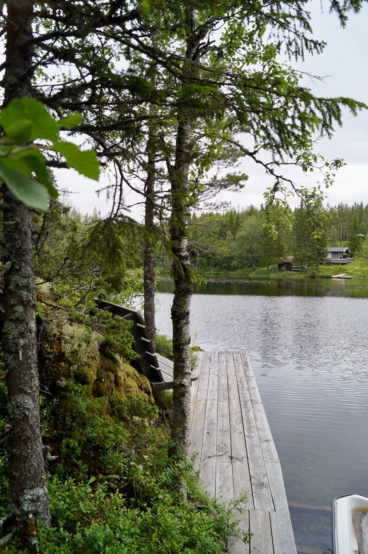 Haugatjønna. Galleribilde