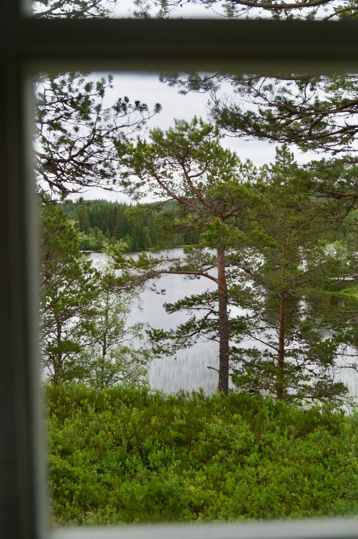 Utsikt fra kjøkkenvindu. Galleribilde