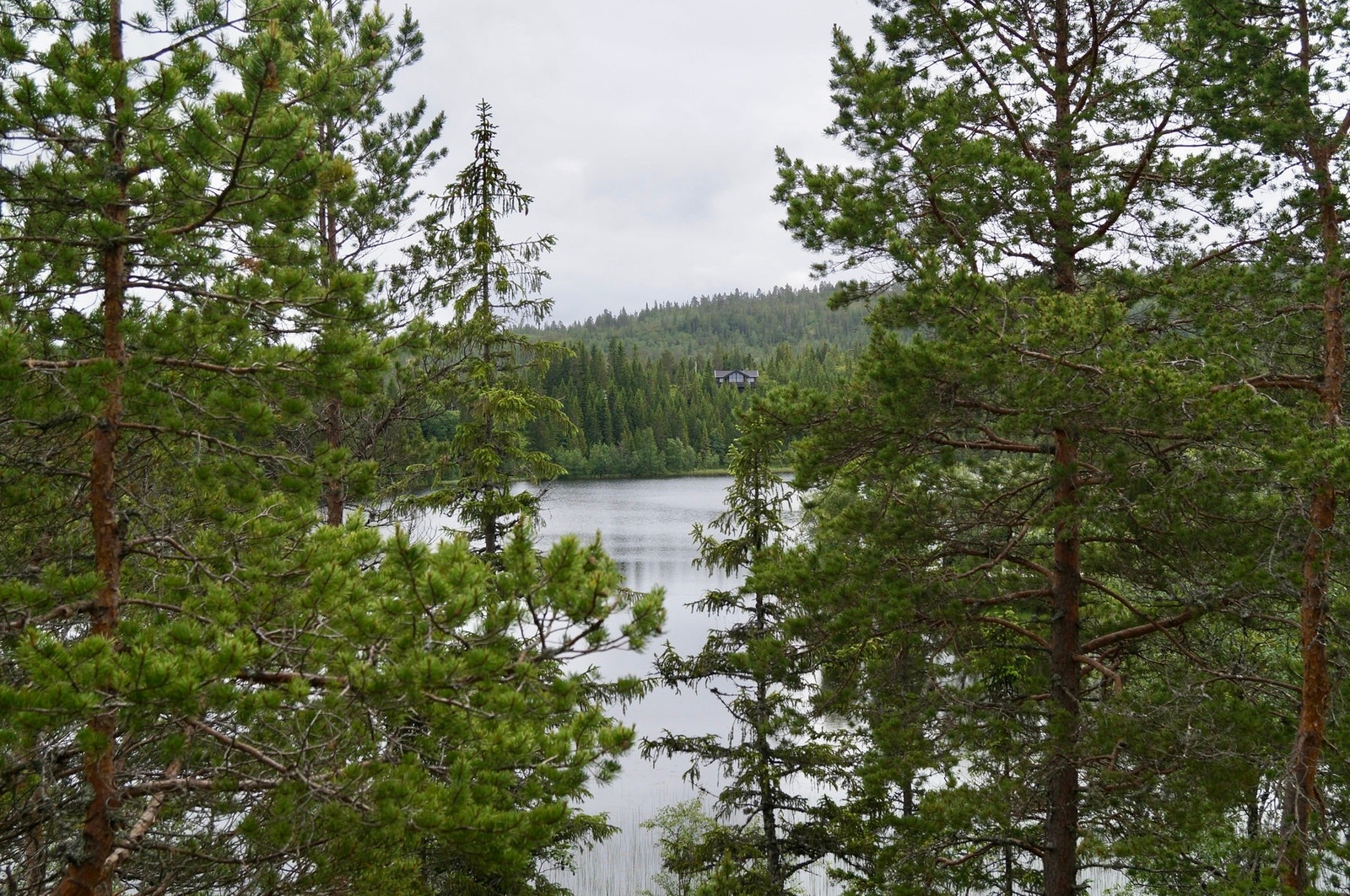 Velkommen til visning! Galleribilde
