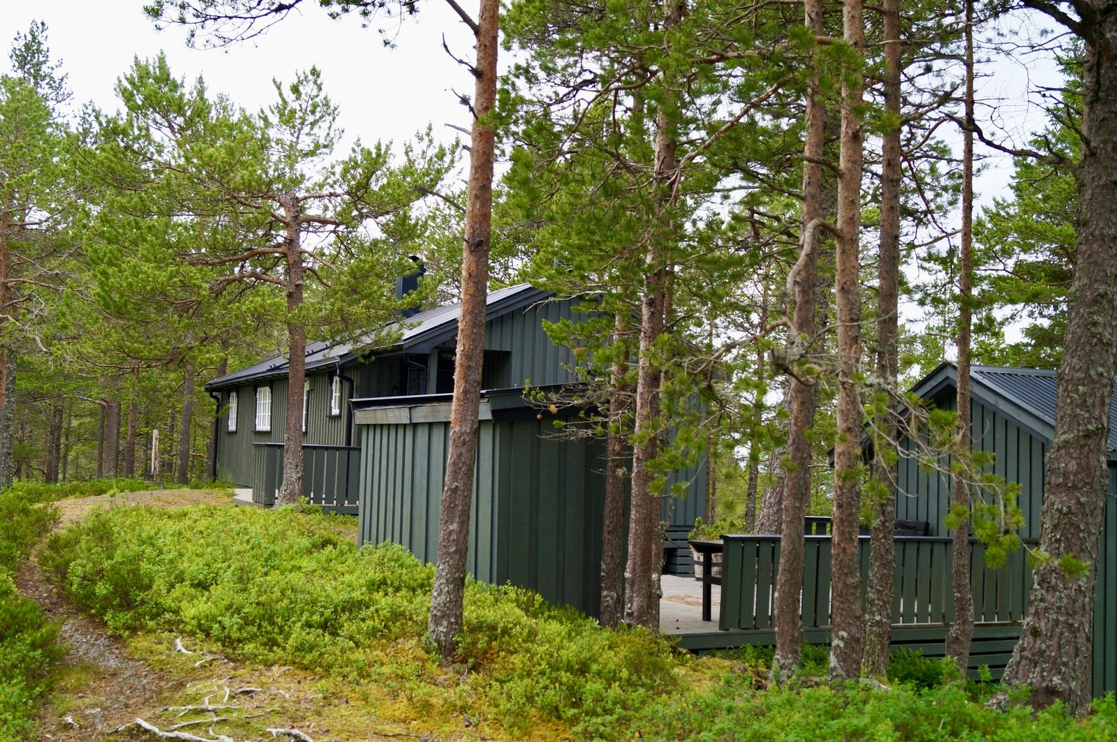 En trivelig hytte ved Haugatjønna på Åsenfjellet. Galleribilde