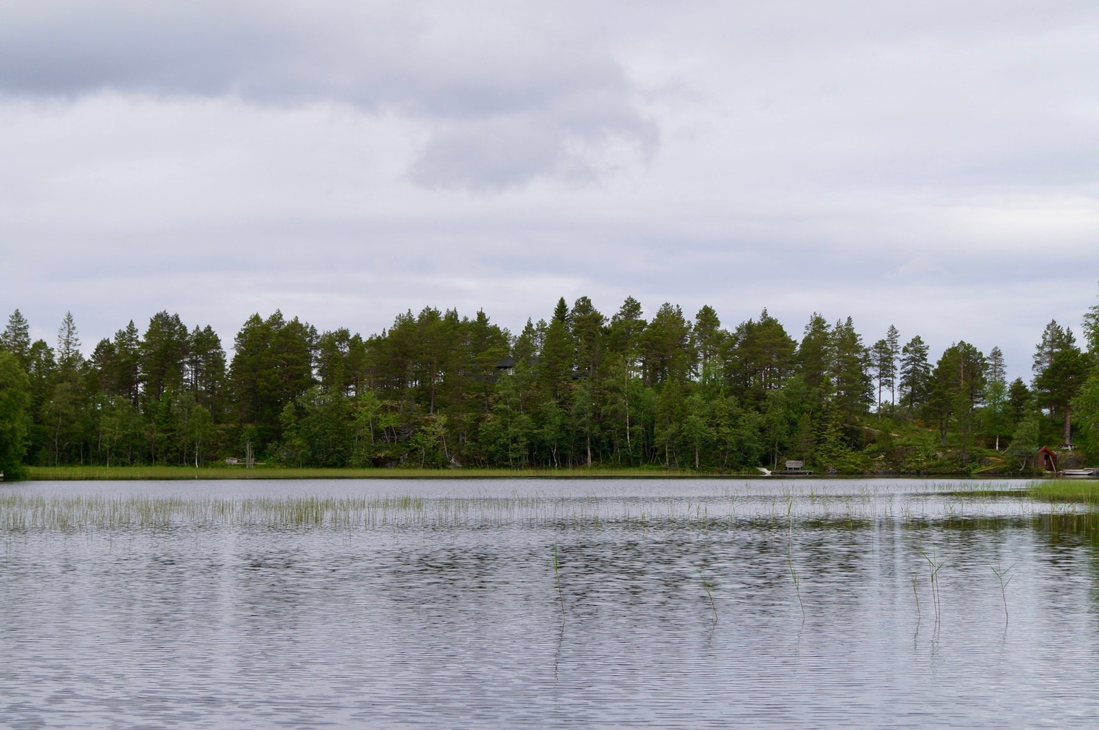 Haugatjønna. Galleribilde