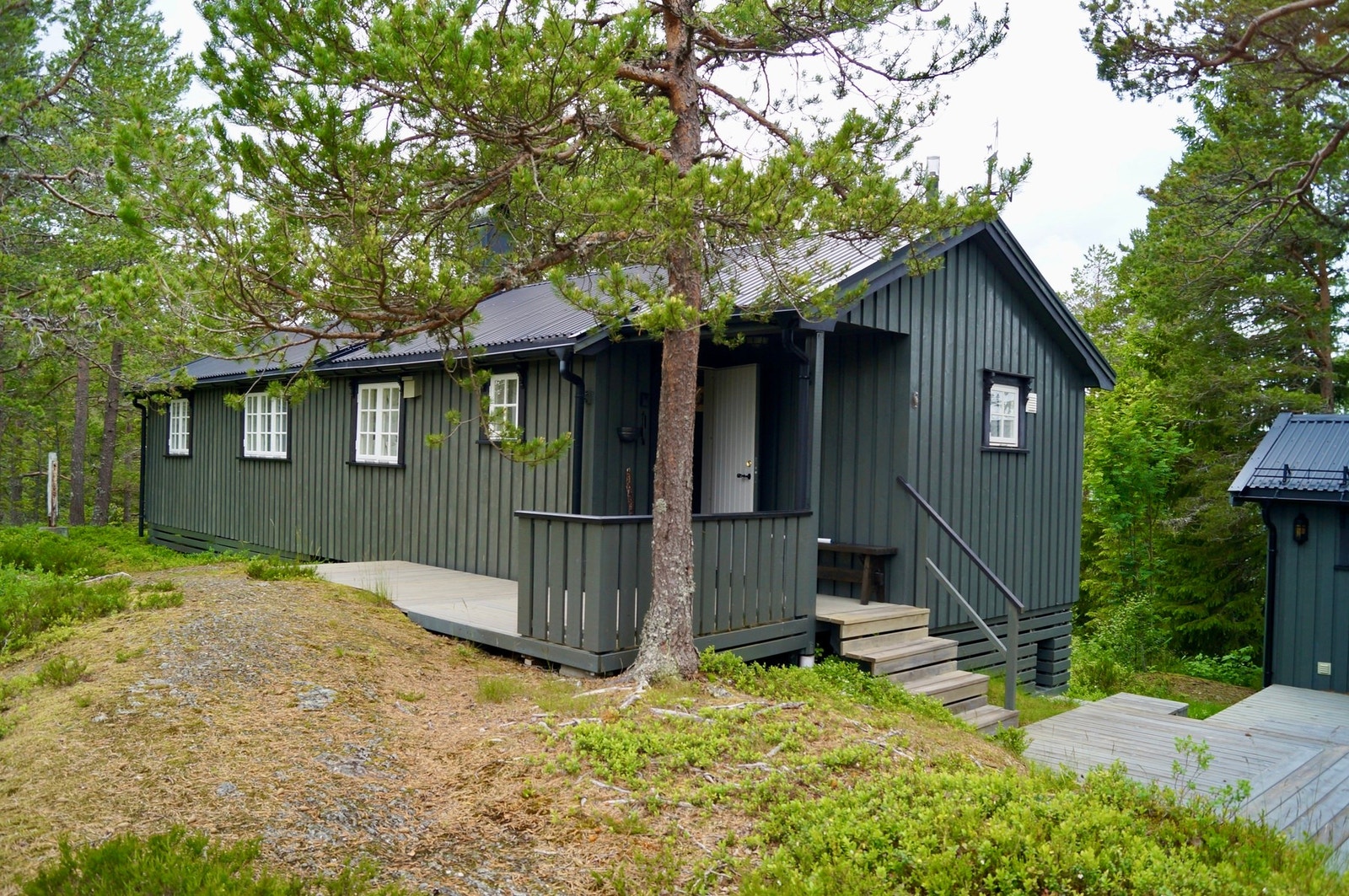 Fasade. Galleribilde