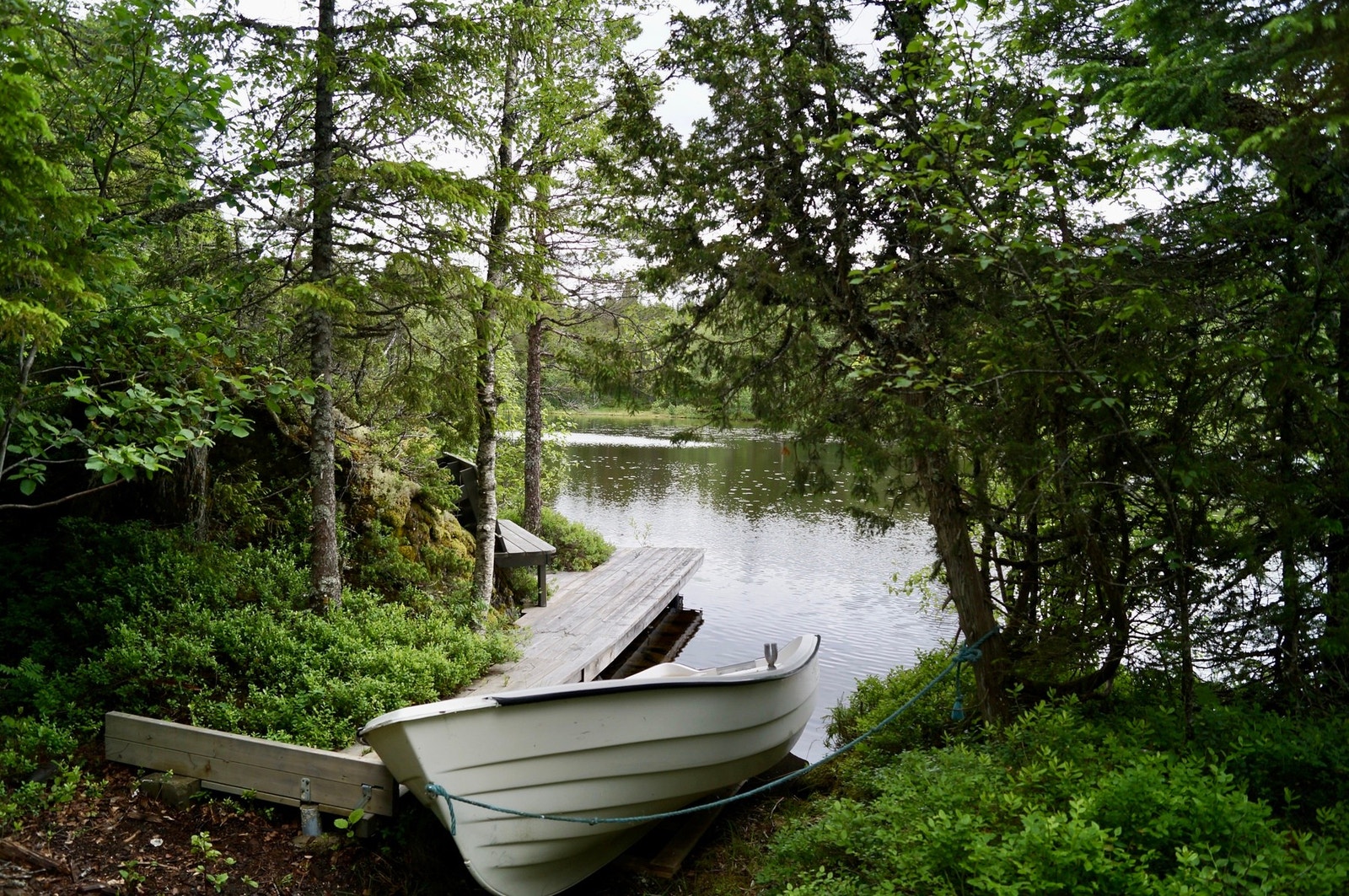 Ligger i et rolig hytteområde og med turterrenget rett utenfor døren både sommer og vinter. Galleribilde