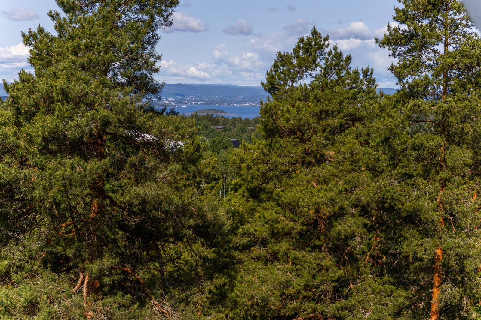 Utsikt fra terrasse Galleribilde