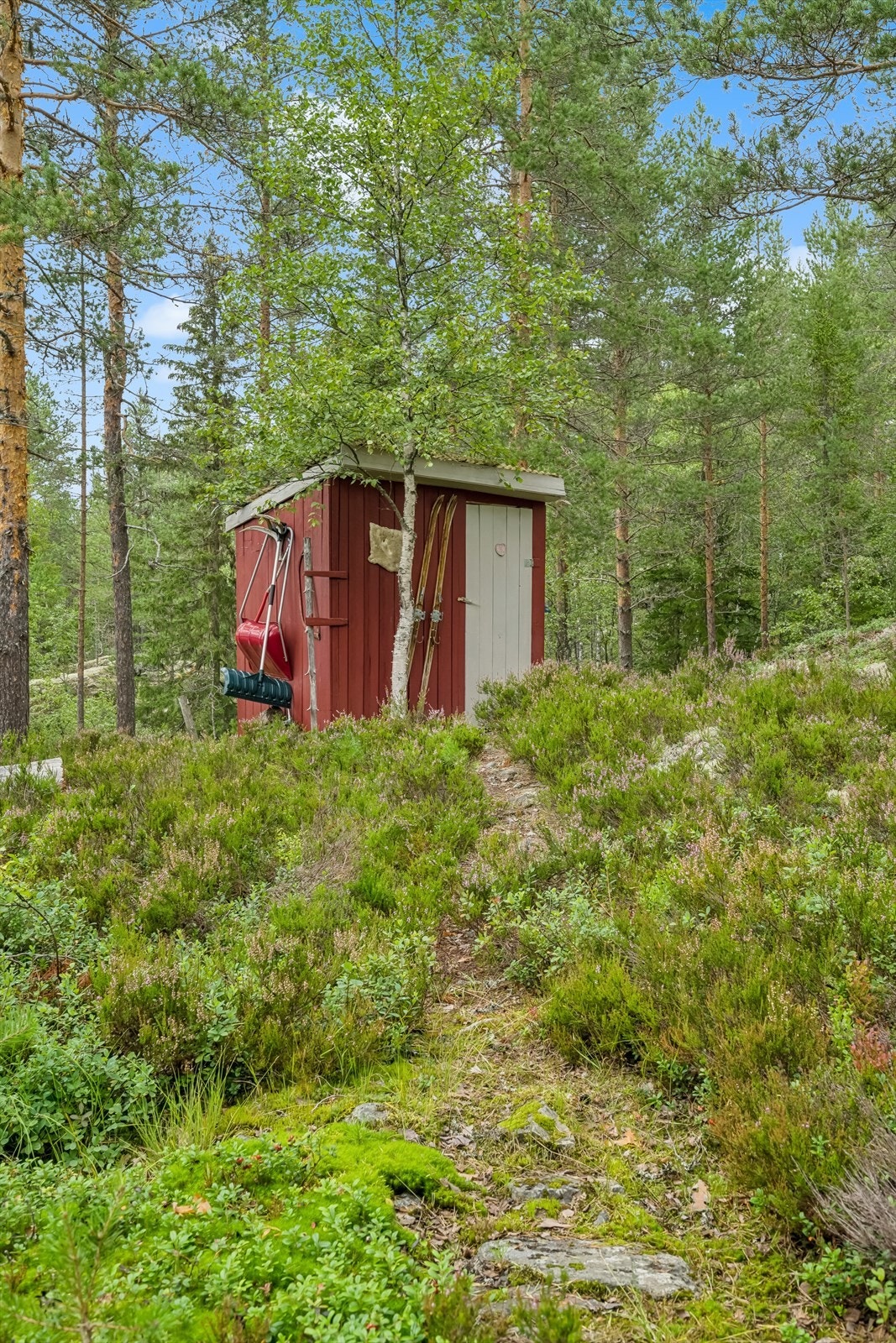 Bod/utedo Galleribilde