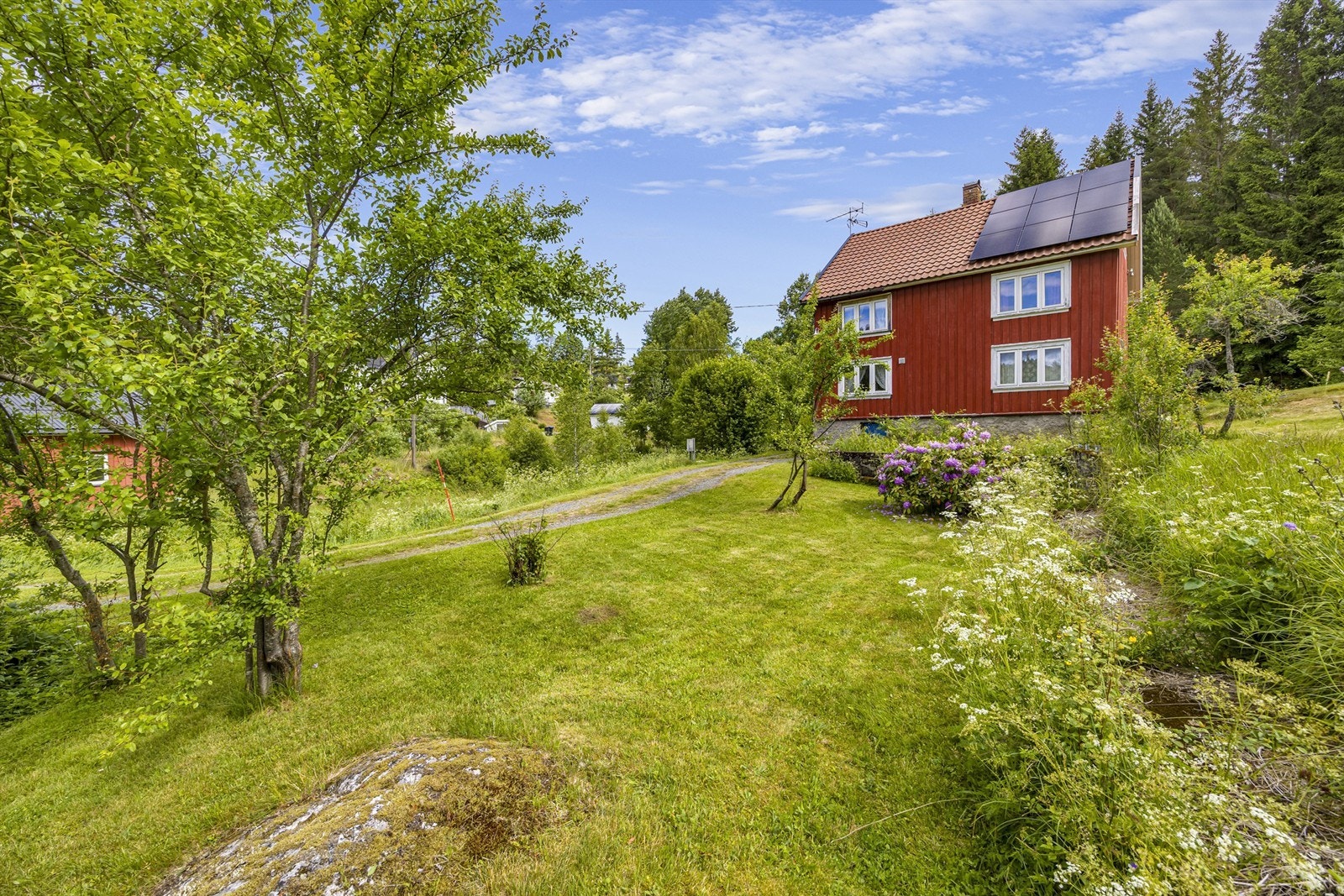 Koselig hage og tun med beplantning. Galleribilde