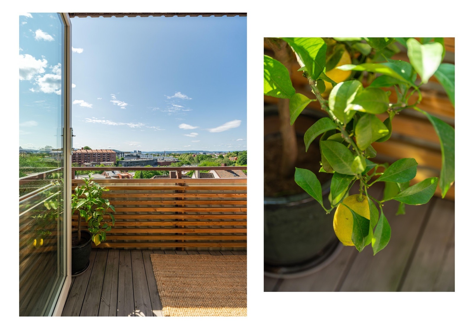 Den sydvendte beliggenheten gir deg sol nesten hele dagen. Galleribilde