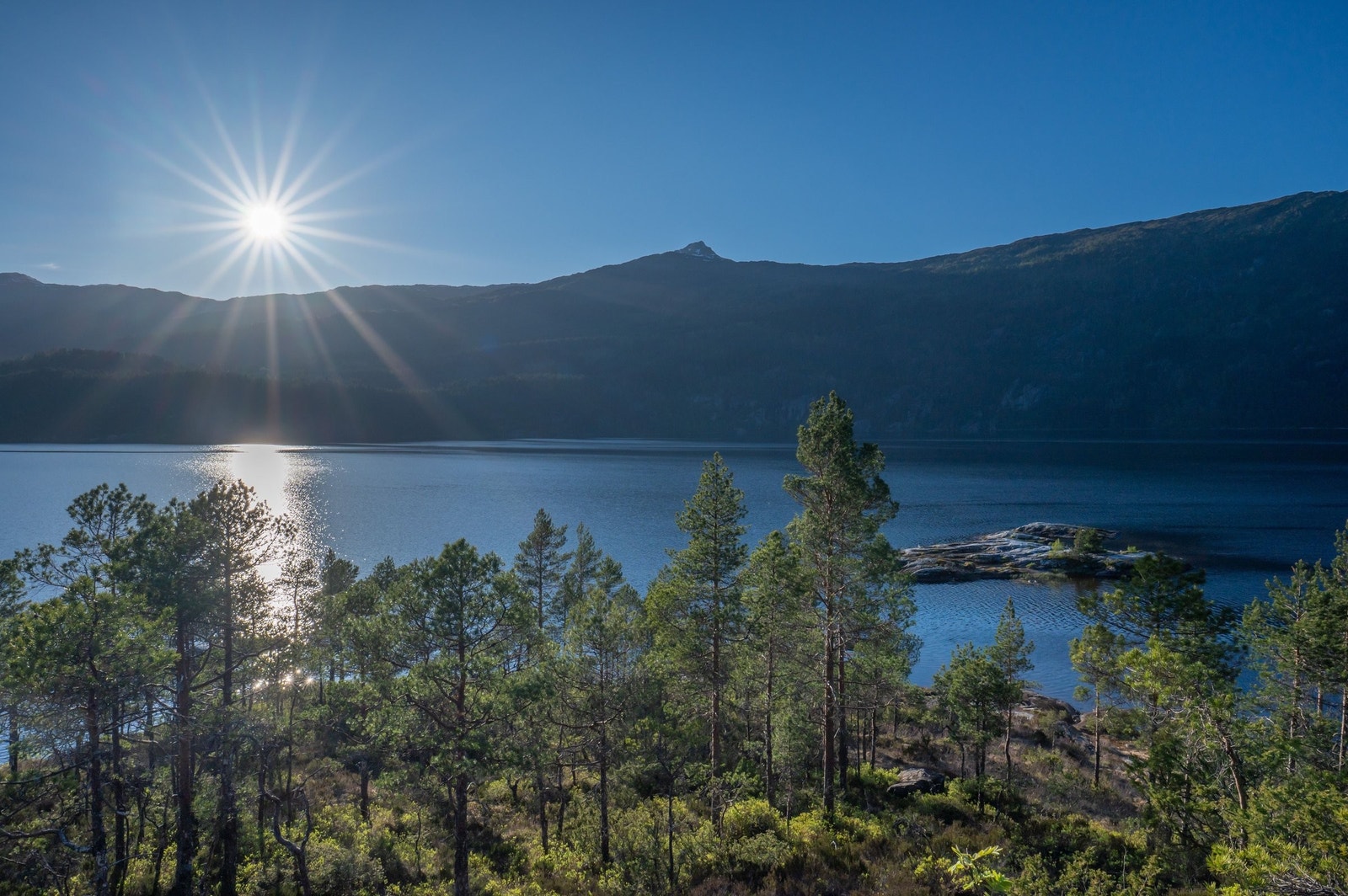 Fotopixel Andrei Galleribilde