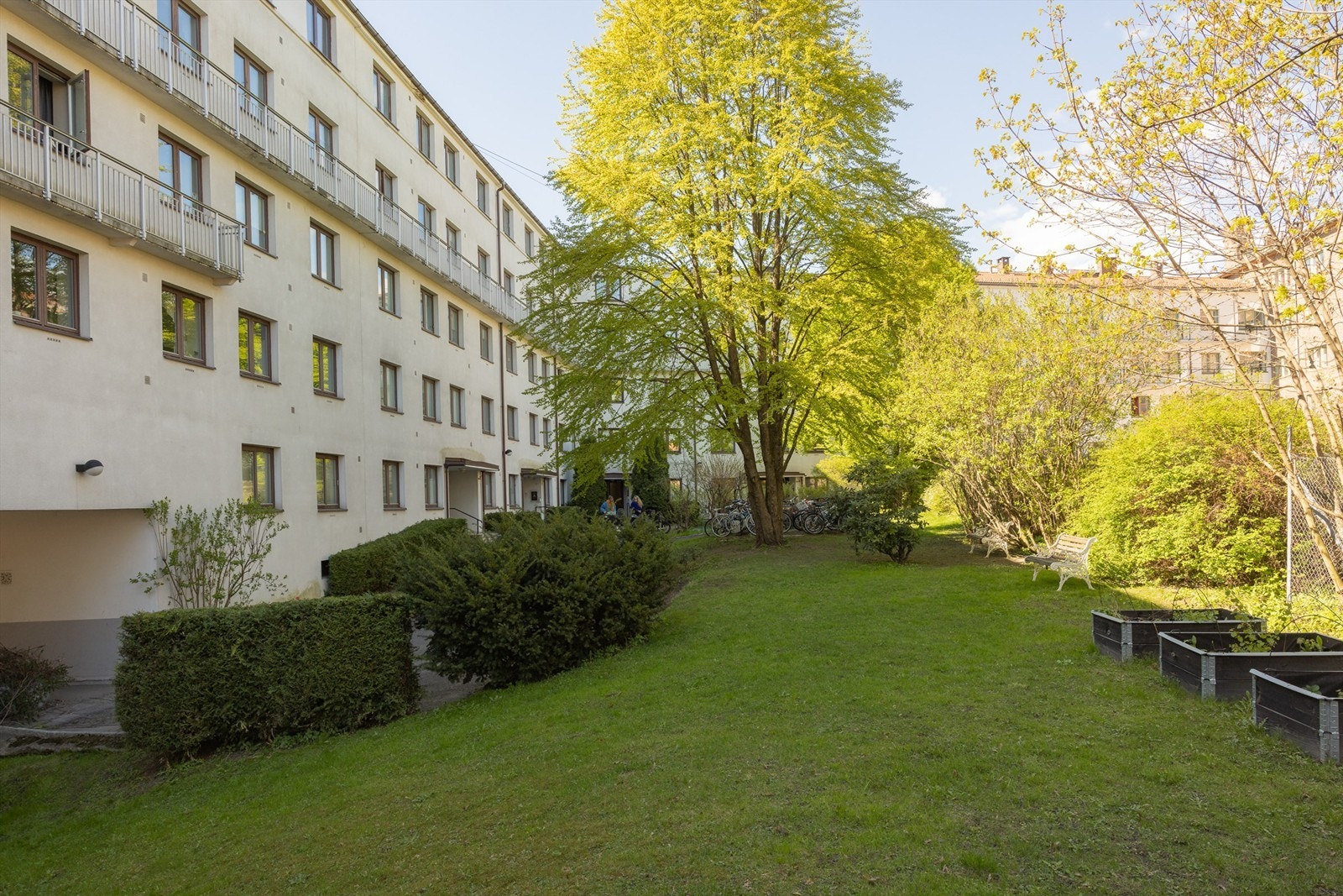 Fellesområdene er pent opparbeidet med asfalterte internveier, gressplen og frodig beplantning bestående av prydbusker og trær. Galleribilde