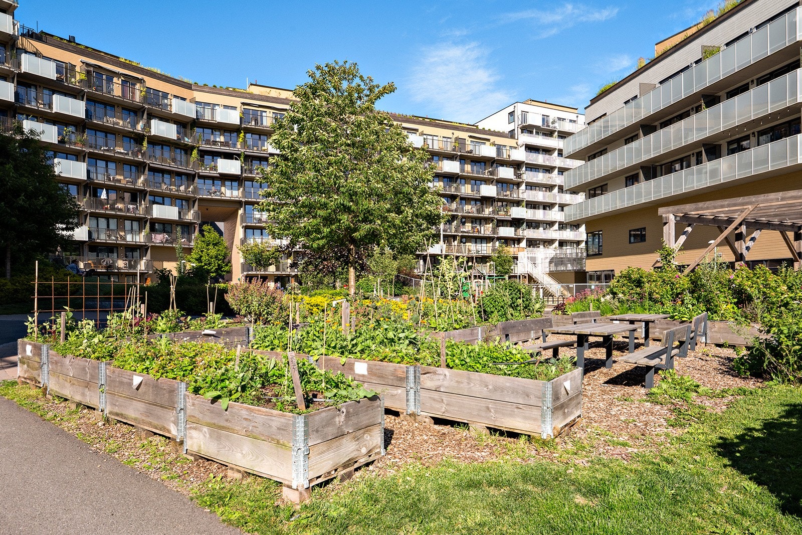 Fine fellesområder. Galleribilde