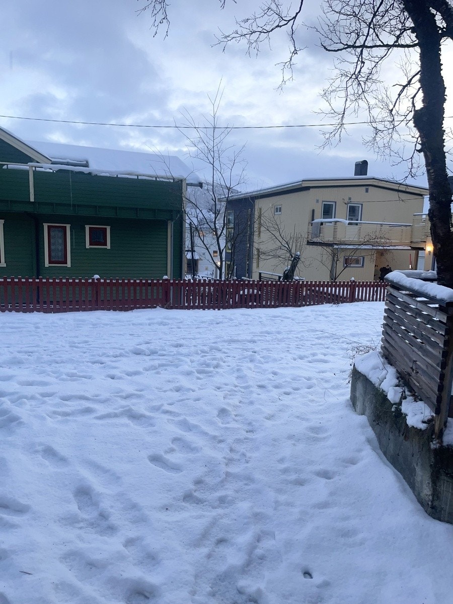 Rolig og etablert boligområde Galleribilde