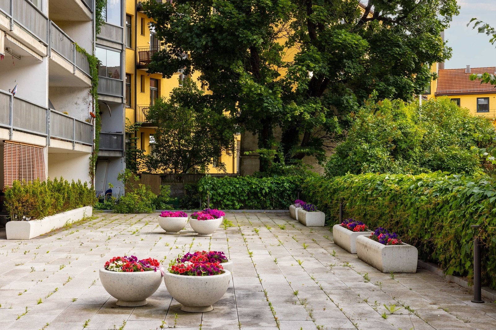 Sameiet har et hyggelig opparbeidet uteområde med hyggelig beplantning. Galleribilde