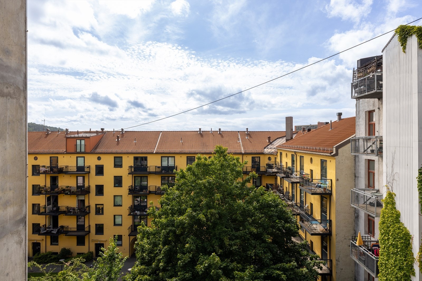 Balkongen har utsikt over en hyggelig og rolig bakhage. Galleribilde