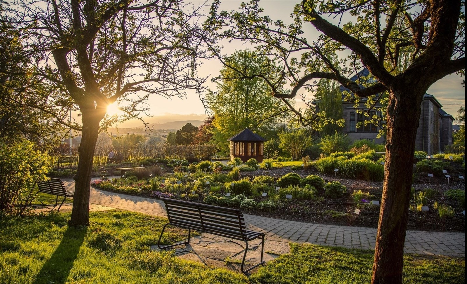 Botanisk hage. Galleribilde