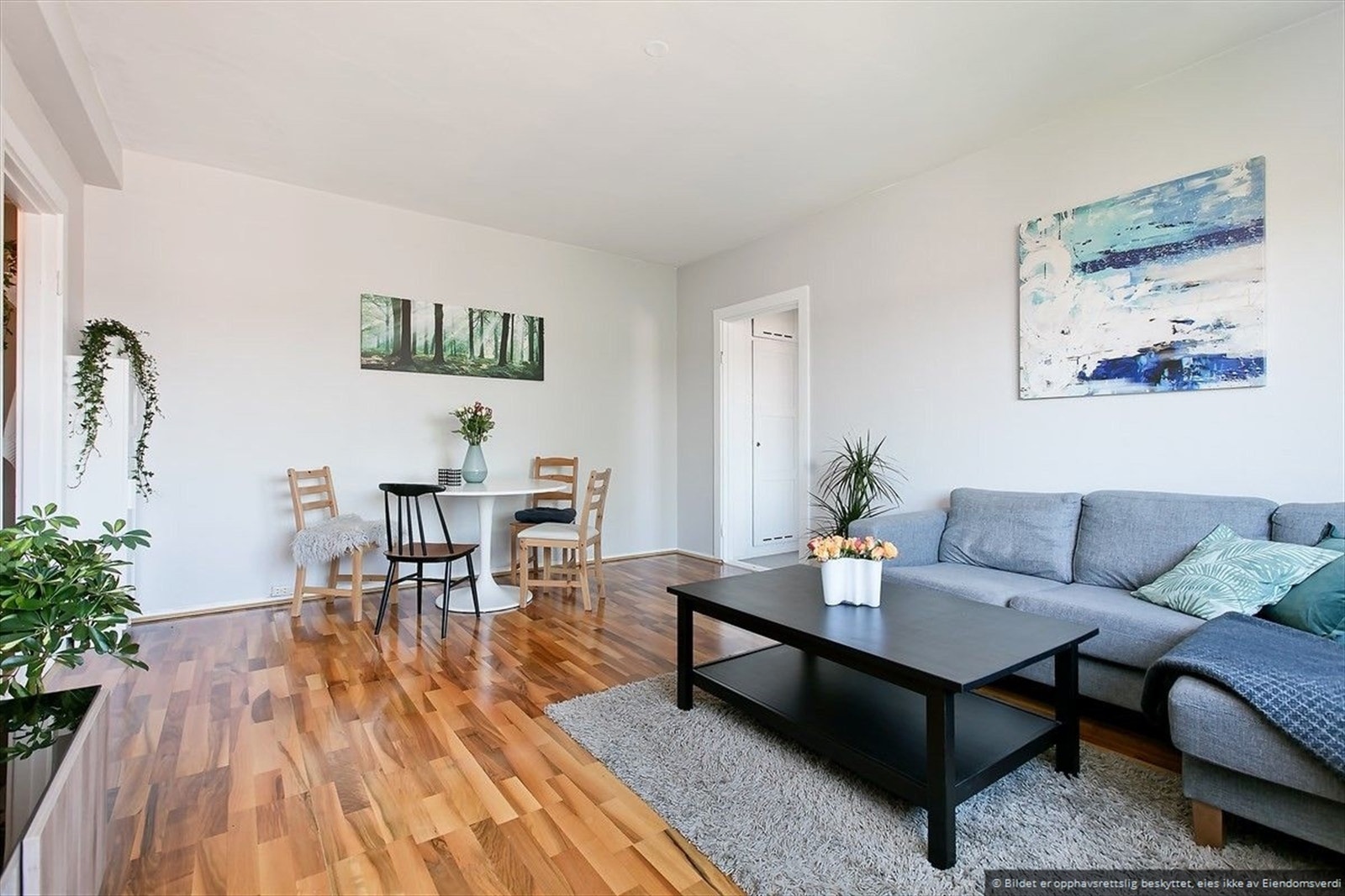 God plass til både sofa- og spisegruppe. Galleribilde