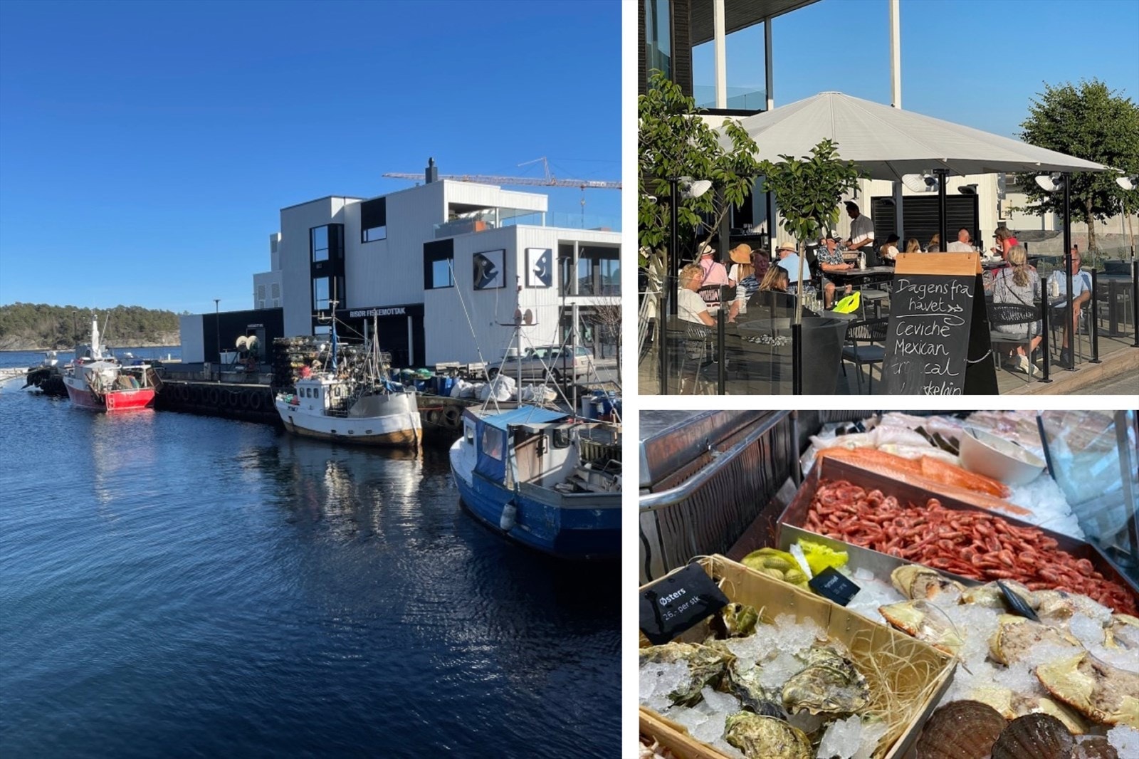 På holmen er det også et fiskemottak med ferske delikatesser og en hyggelig uteservering sommerstid. Galleribilde
