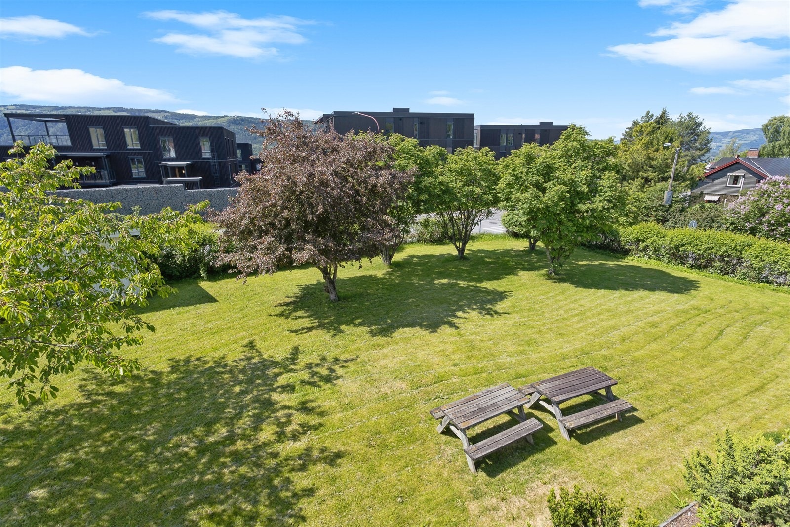 Fellesområdene er pent opparbeidet og inkluderer et vakkert plenområde med beplantning og sittegrupper. Galleribilde