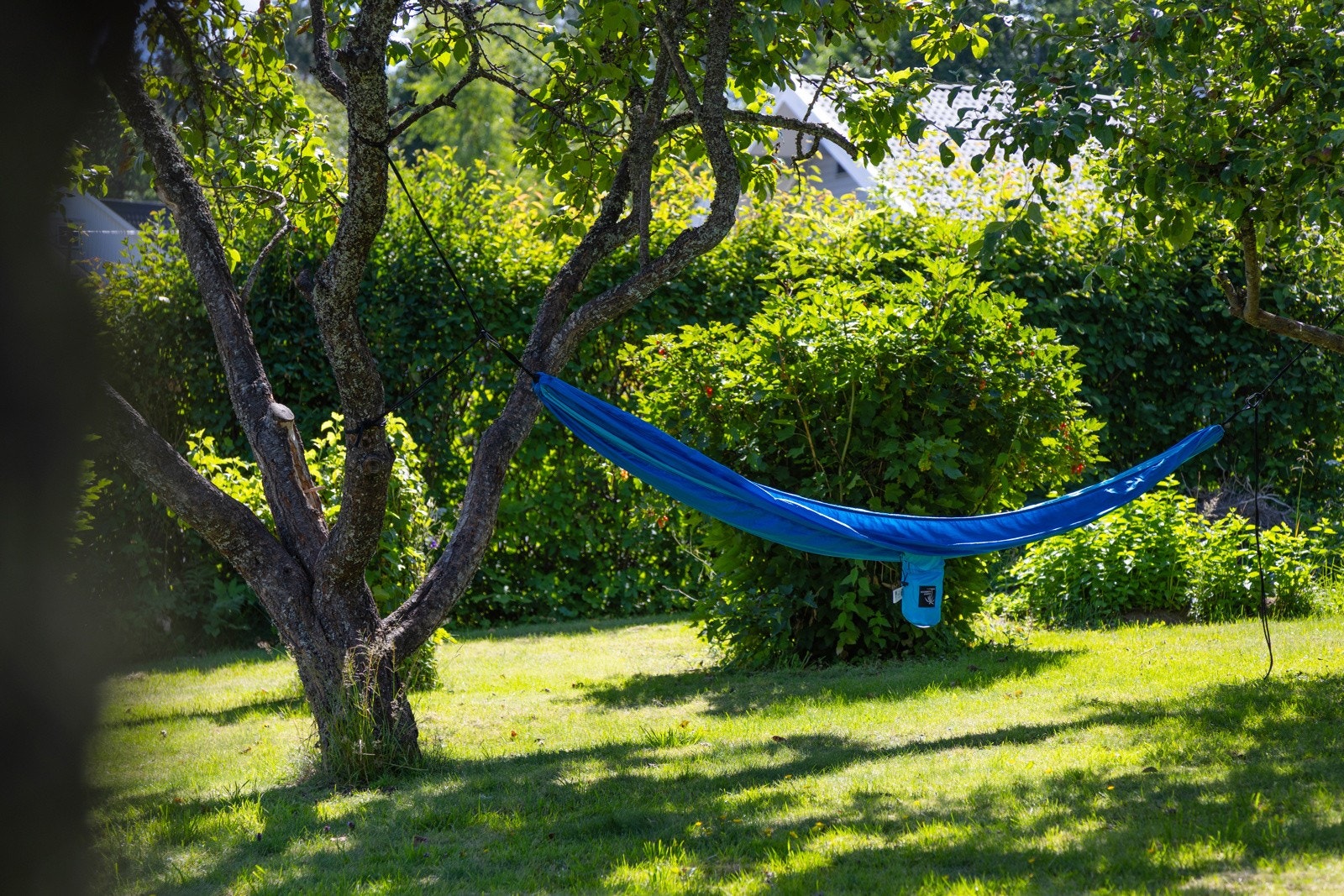 Flott hage med gode solforhold. Galleribilde