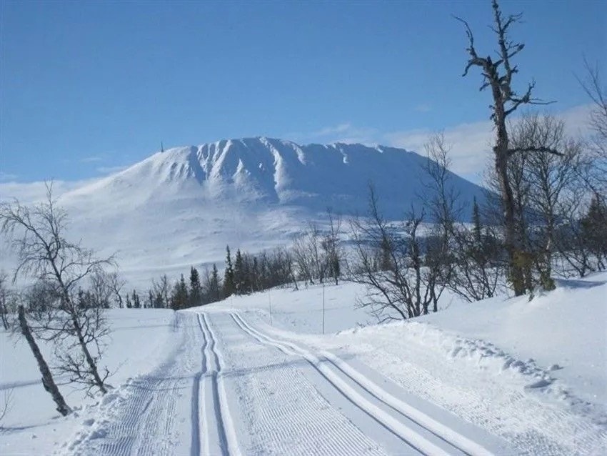 Løyper for alle Galleribilde