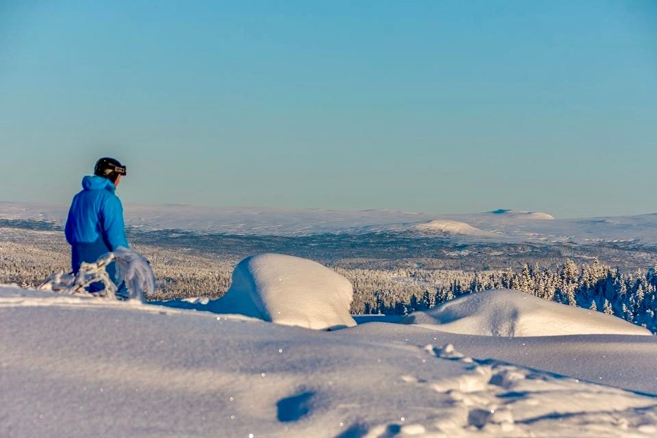 Majestetisk utsikt Galleribilde