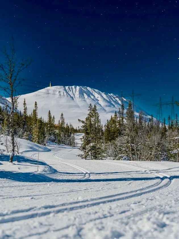 Langrenn med Gaustadtoppen som mål Galleribilde
