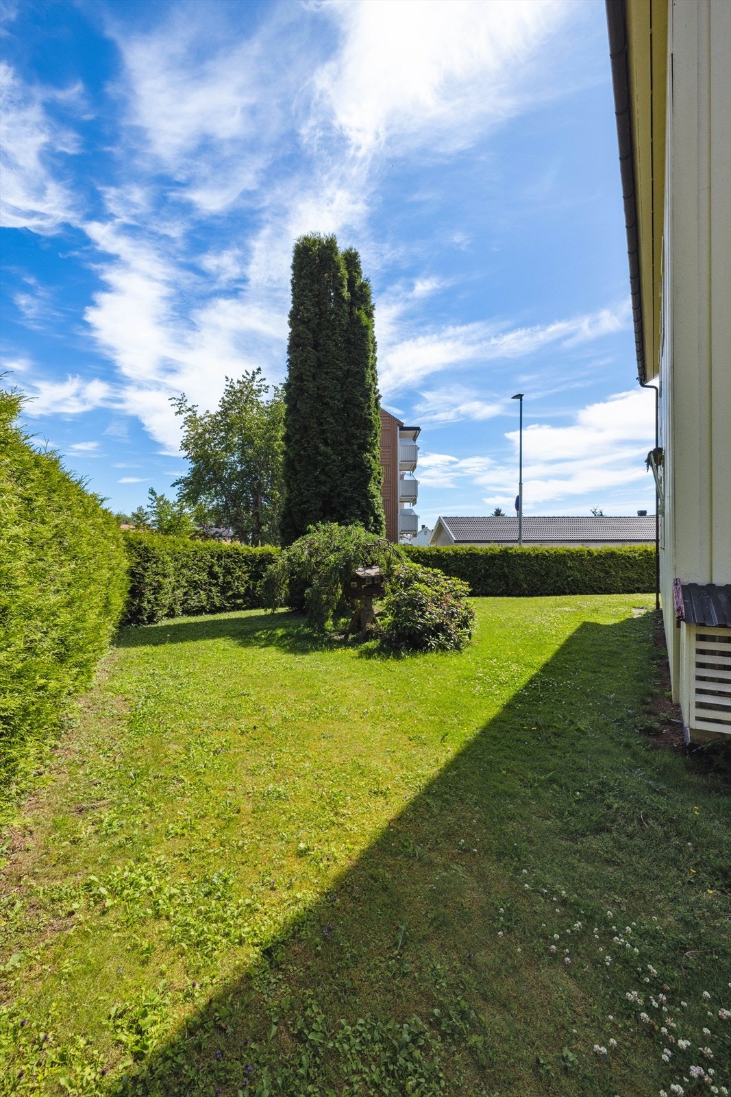 Stor felleseiet hage opparbeidet med gressplen og diverse beplanting. Galleribilde