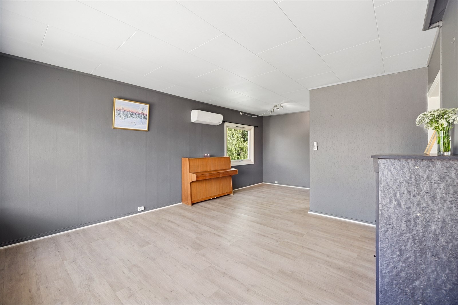 Her er det plass til både sofa- og spisegruppe. Galleribilde