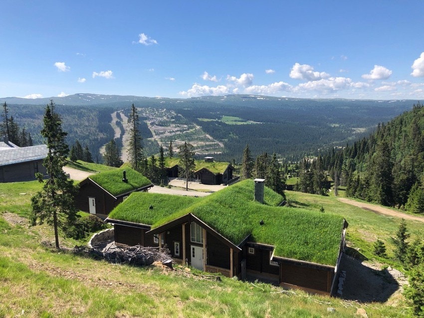 Kvitfjell er en nydelig destinasjon på sommeren også med mange muilgheter for turer i skog og mark Galleribilde