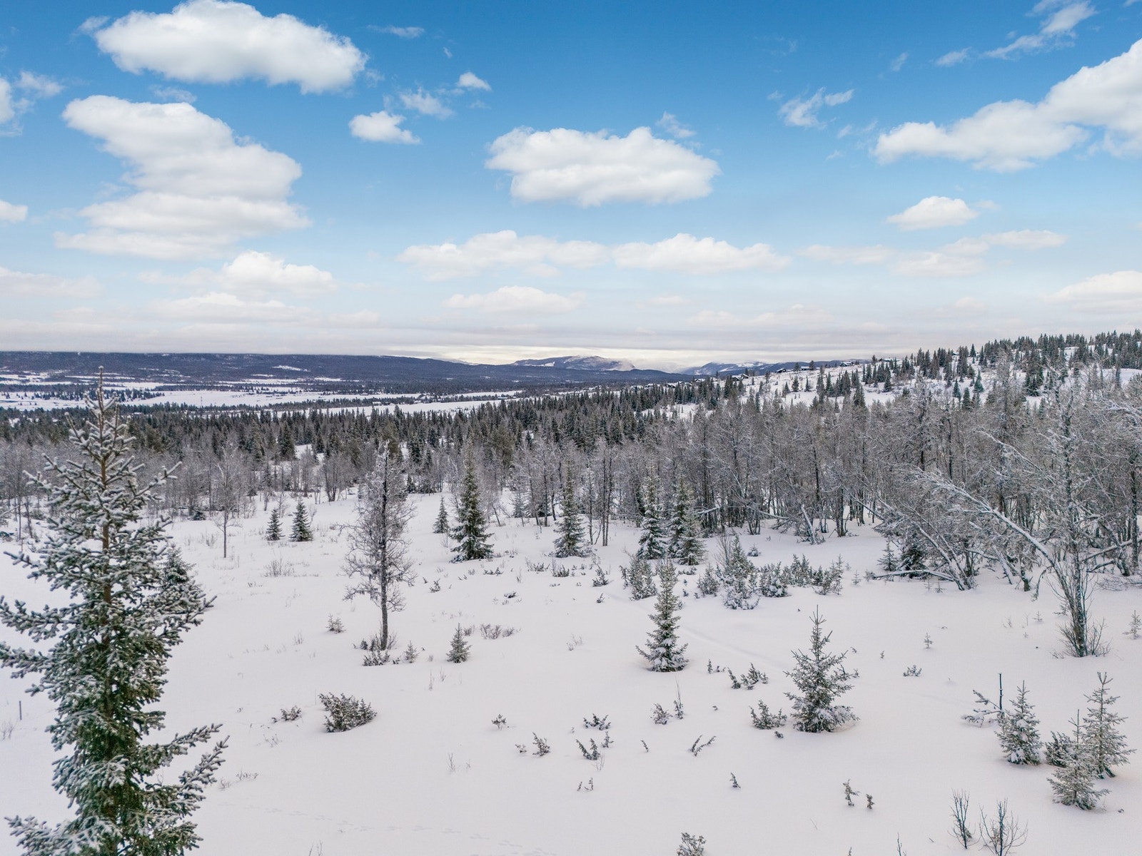 Golsfjellet er kjent for sine flotte turmuligheter sommer og vinter. Sommeren har du flere gå- og sykkel turer og ikke minst jakt og fiske muligheter. Om vinteren har de skiløyper som går flere mil i område samt flere alpinbakker. Galleribilde