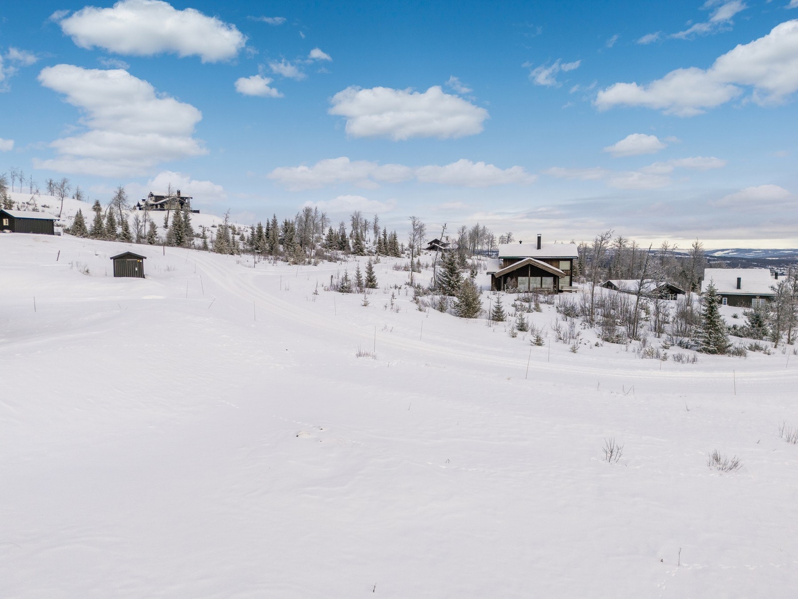 Bilder tatt av fotograf Terje Bjørnsen. Galleribilde