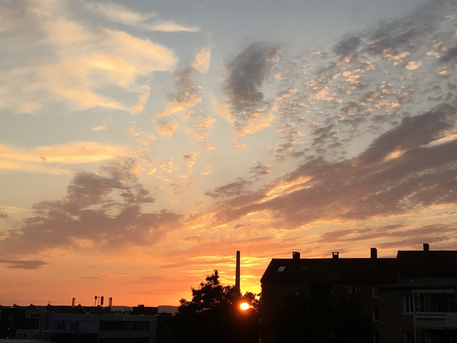 Her kan sene sommerdager nyter med kveldssol Galleribilde