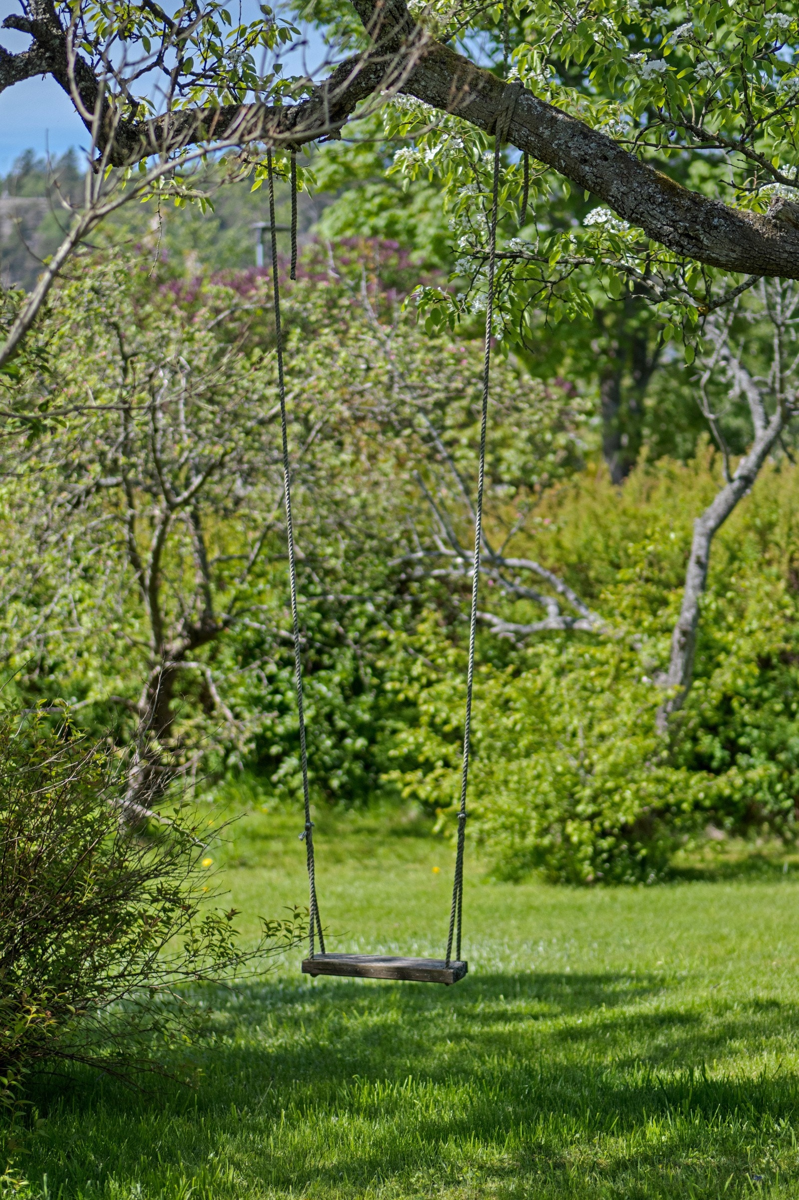Eiendommen har en god gammeldags hage med frukttrær, plen og beplantning. Galleribilde