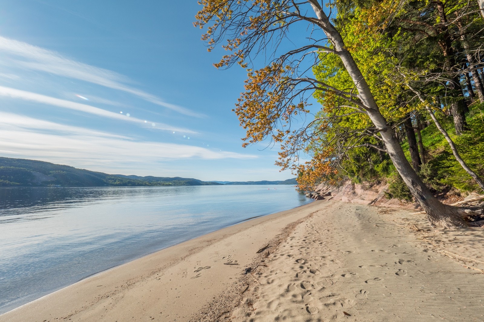Nærområdet Galleribilde