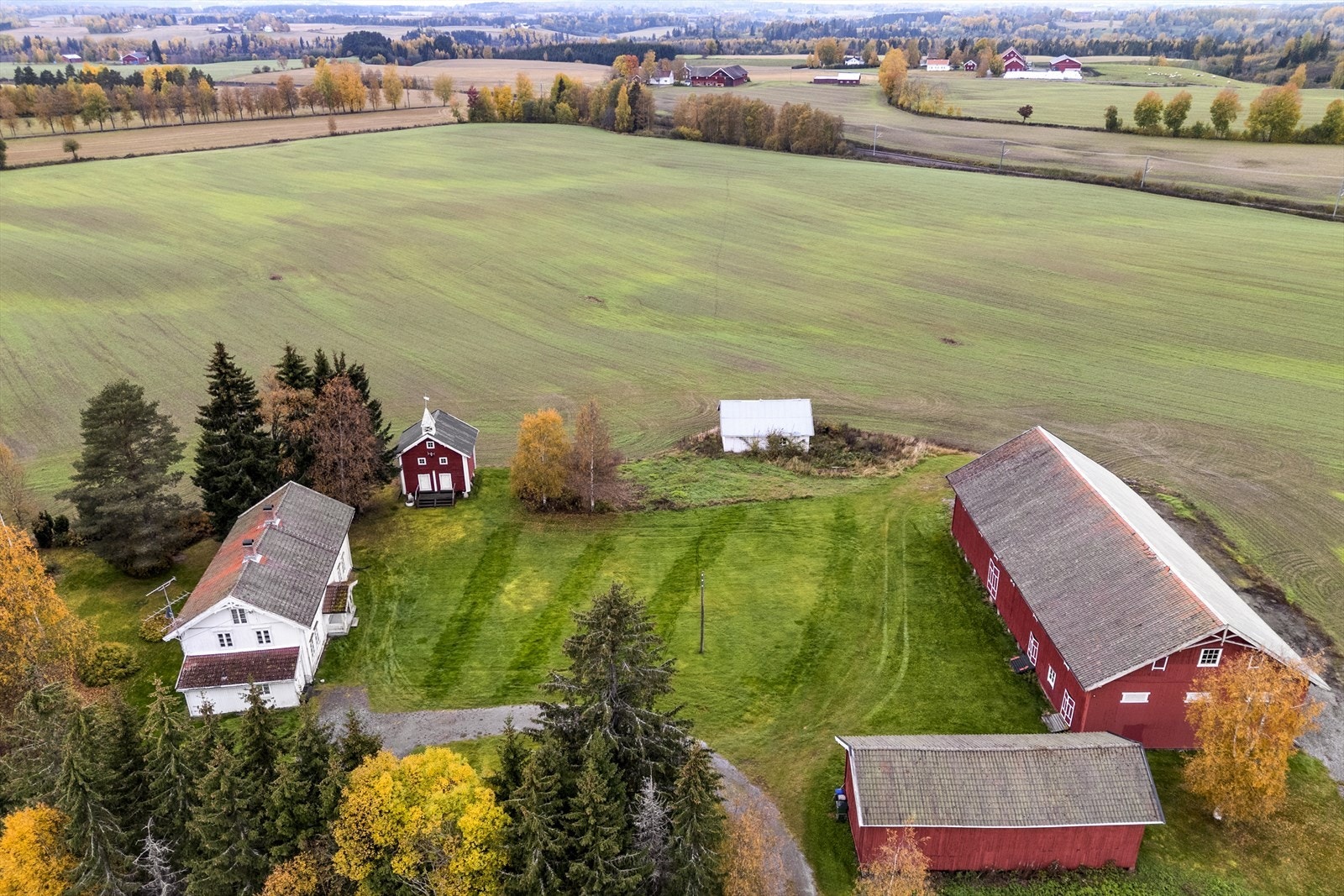 Nydelig tun bestående av gruset adkomst med store plenarealer og opparbeidet hage med store tuntrær og beplantninger Galleribilde