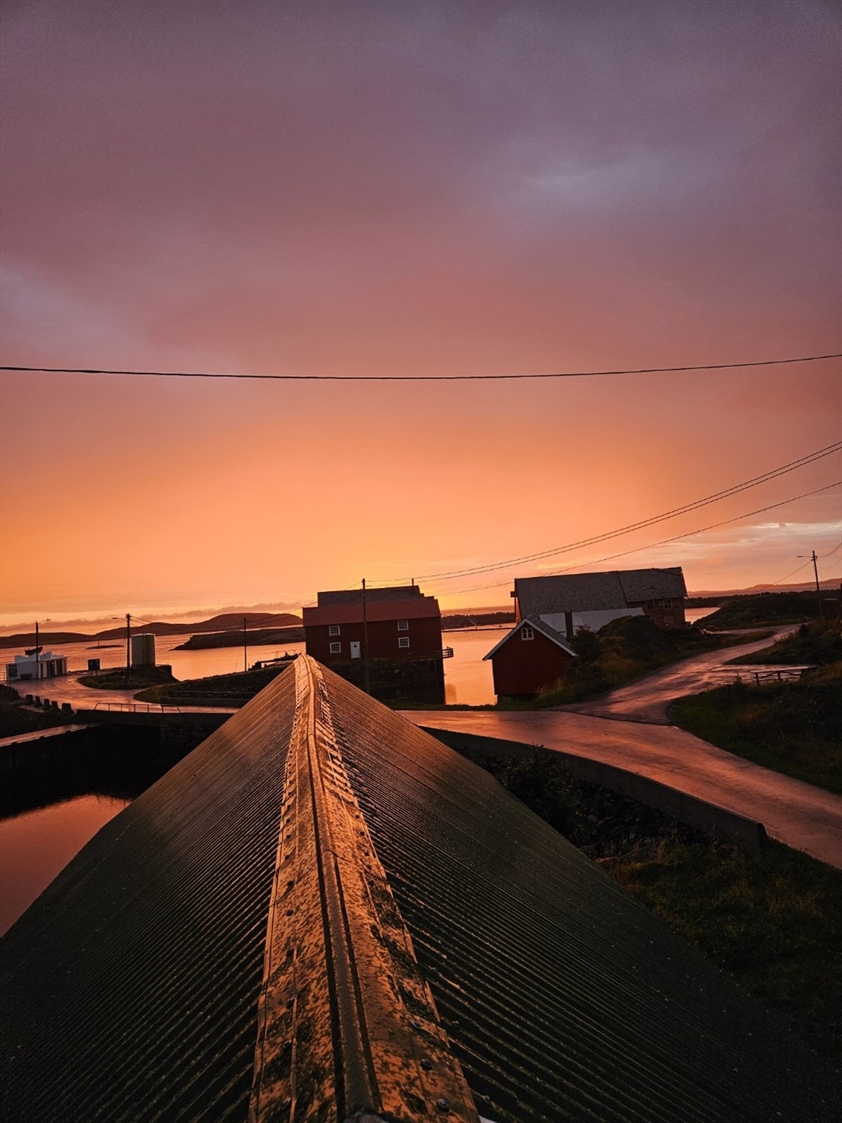 Selgers eget bilde Galleribilde